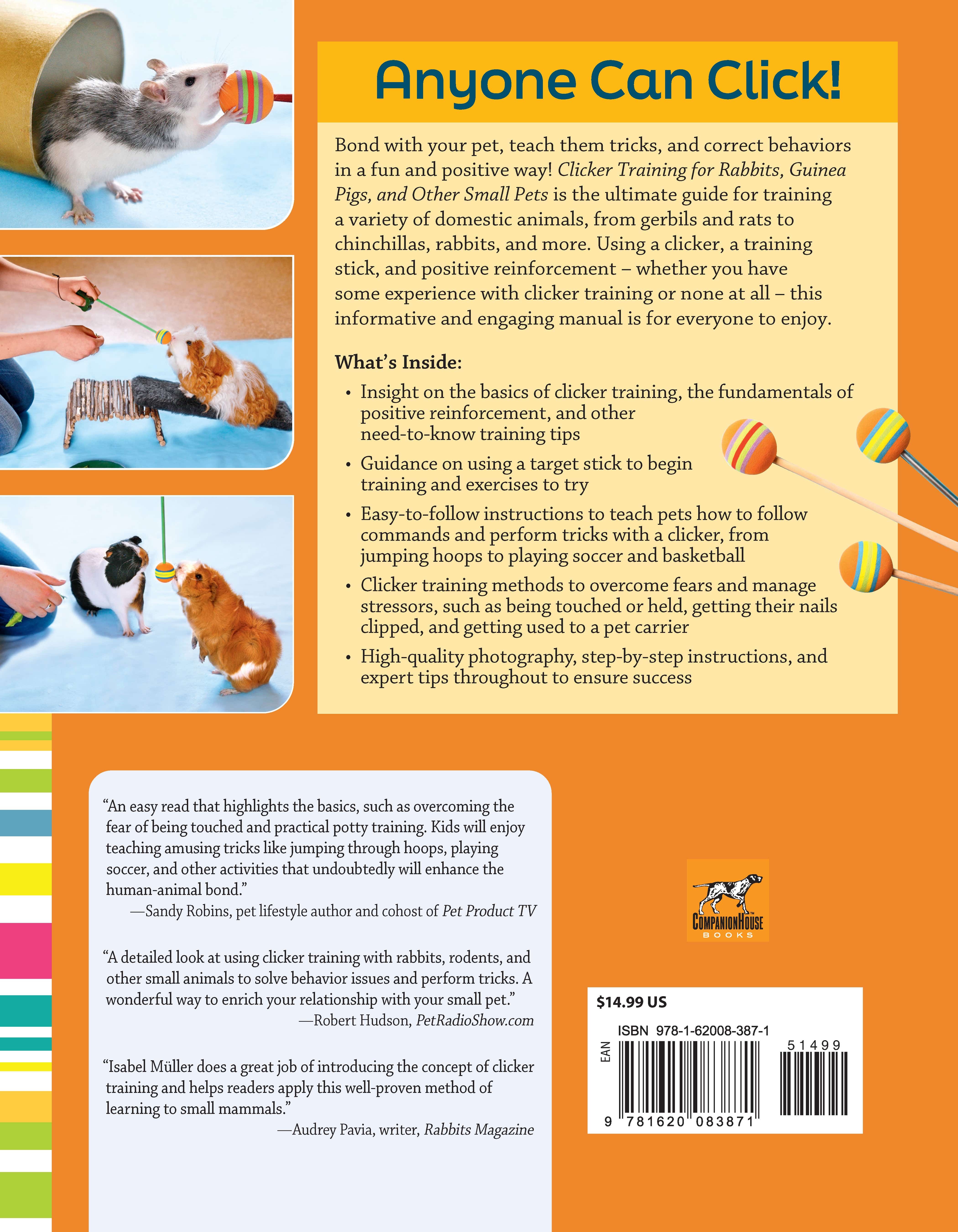 Unlock the Magic: Training Techniques for Teaching Tricks to Pet Rabbits
