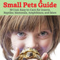 Can I Keep It? Small Pets Guide