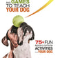 Tricks and Games to Teach Your Dog