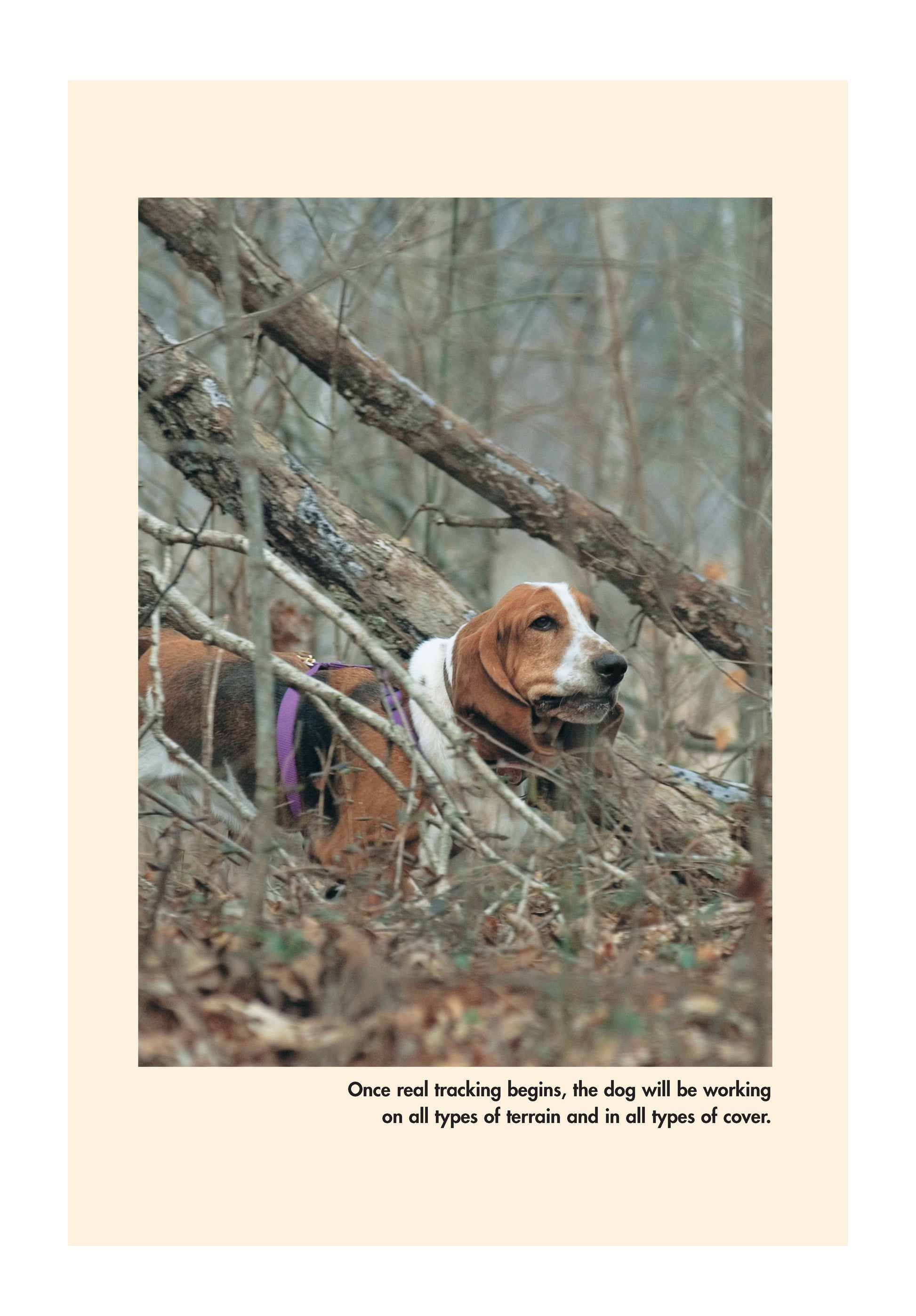 Canine Tracking Guide - Fox Chapel Publishing Co.