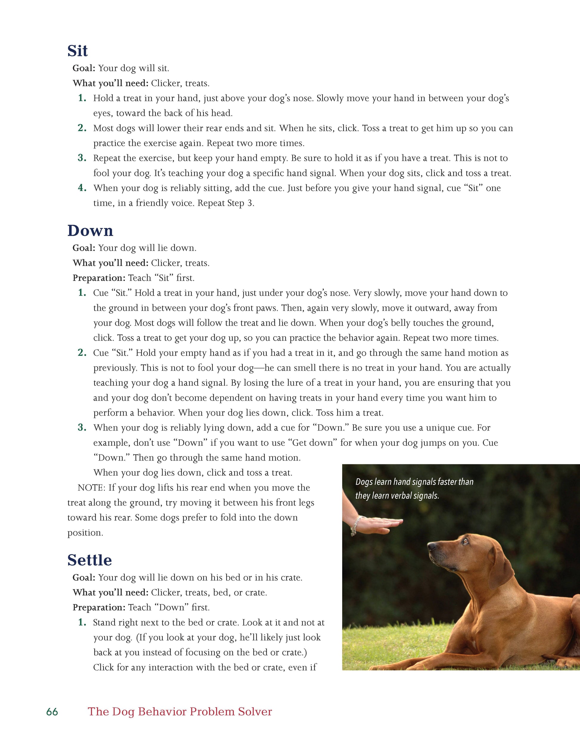 The Dog Behavior Problem Solver - Fox Chapel Publishing Co.
