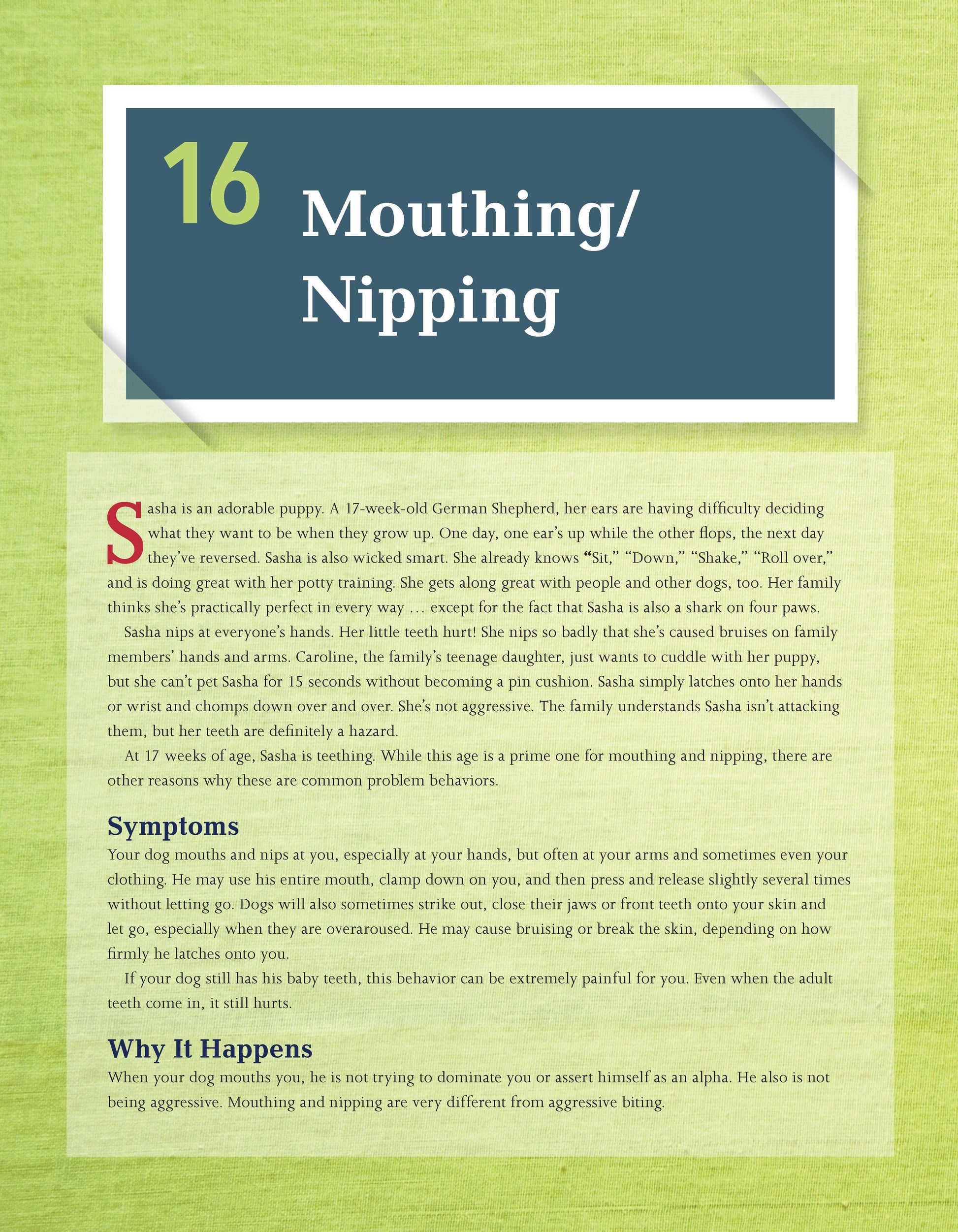 The Dog Behavior Problem Solver - Fox Chapel Publishing Co.