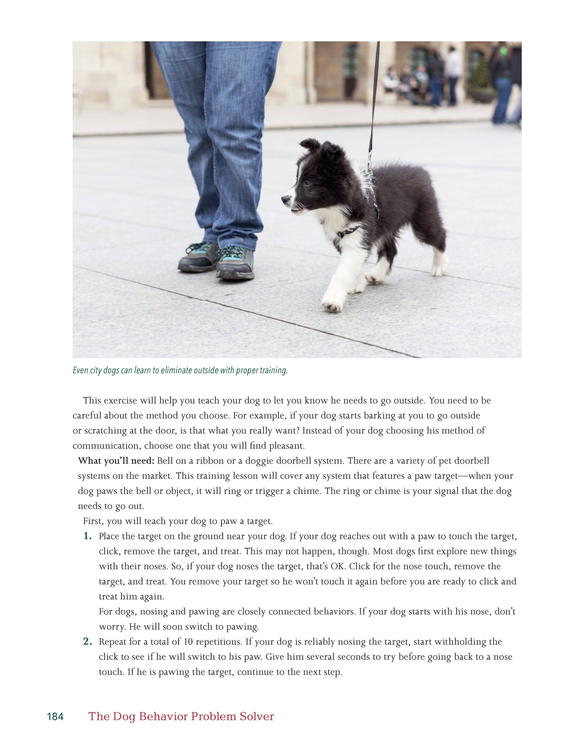 The Dog Behavior Problem Solver - Fox Chapel Publishing Co.