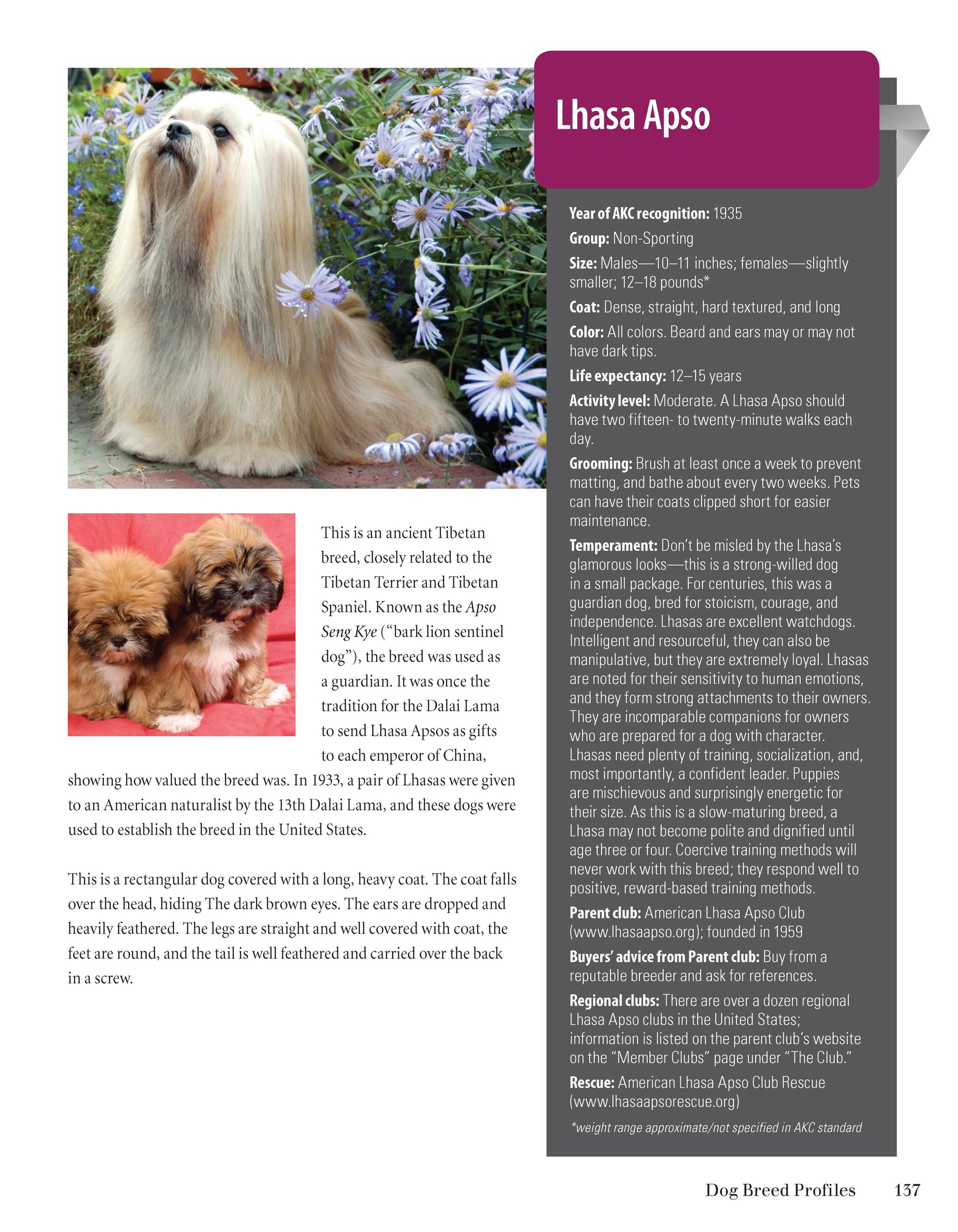 Akc Dog Infodog Com Shows State By State Mbf Dog Shows By State