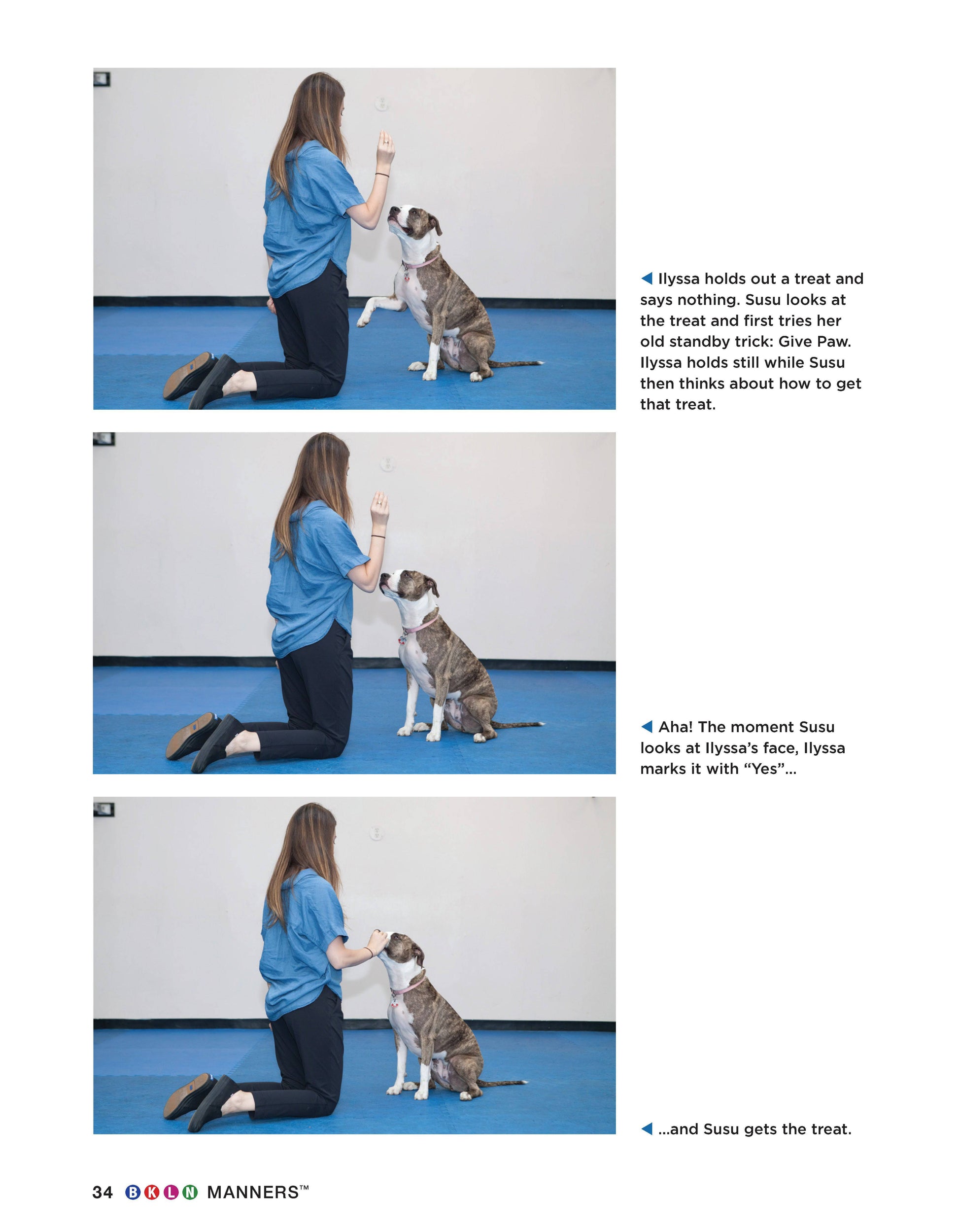 BKLN Manners - Fox Chapel Publishing Co.