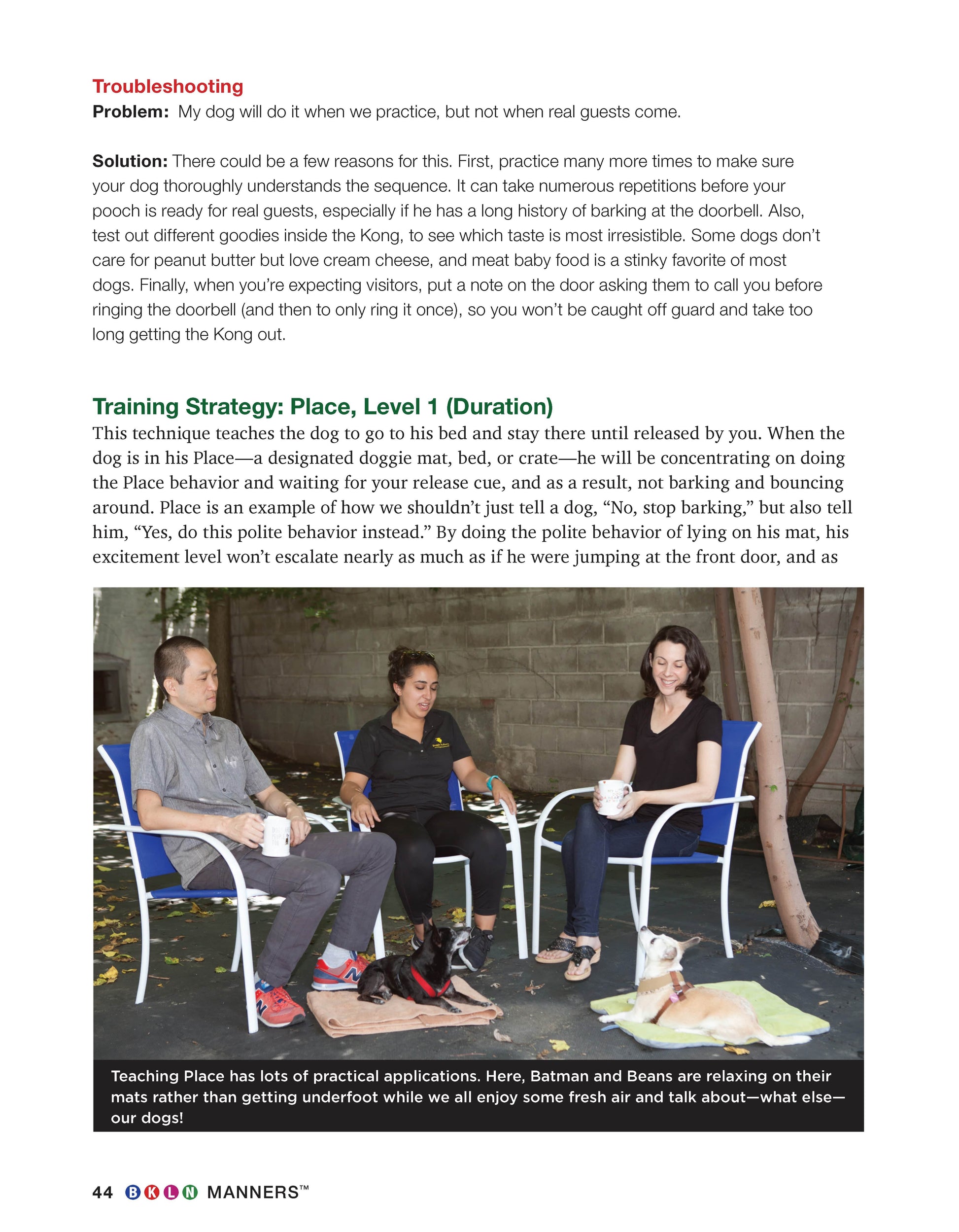 BKLN Manners - Fox Chapel Publishing Co.