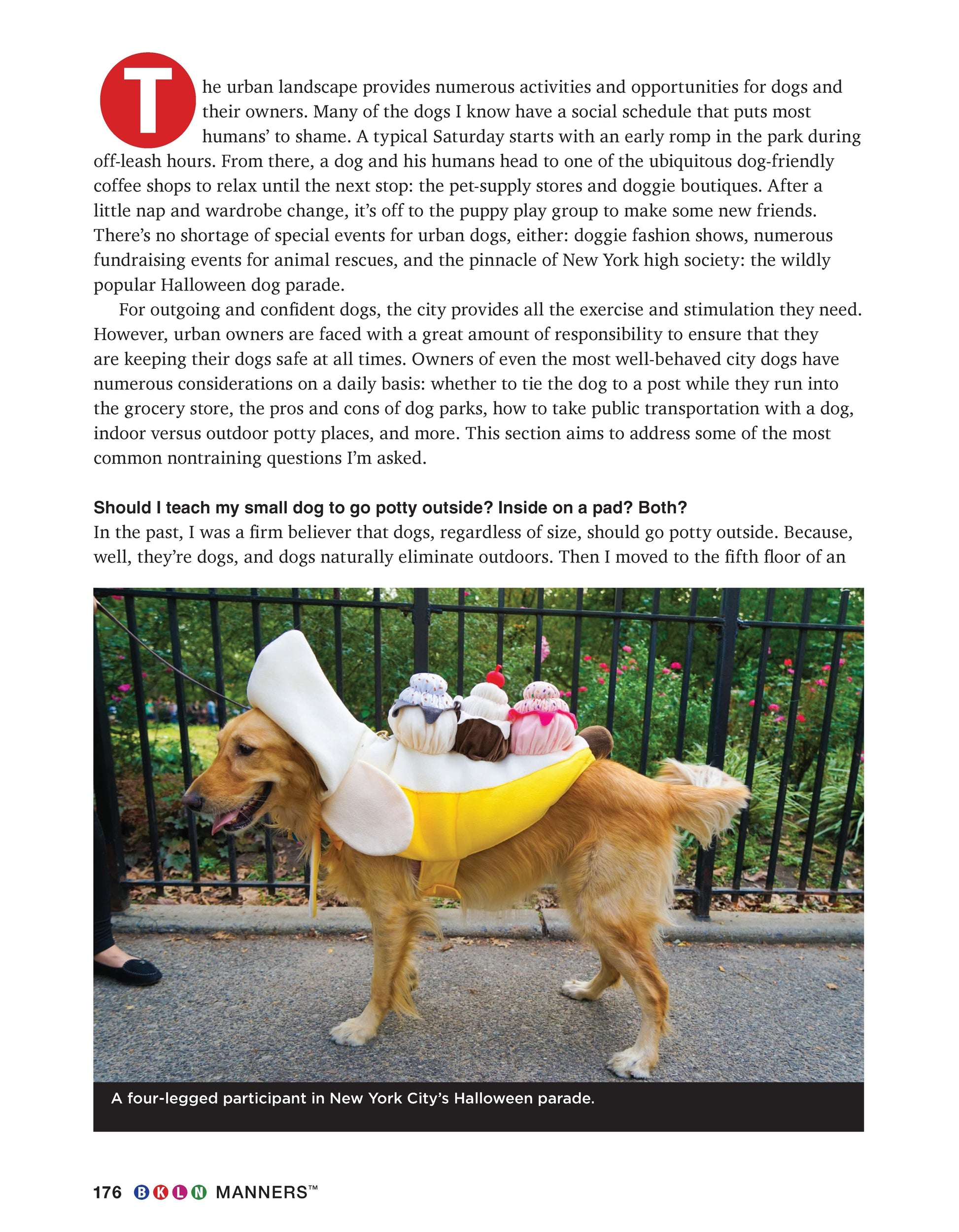 BKLN Manners - Fox Chapel Publishing Co.