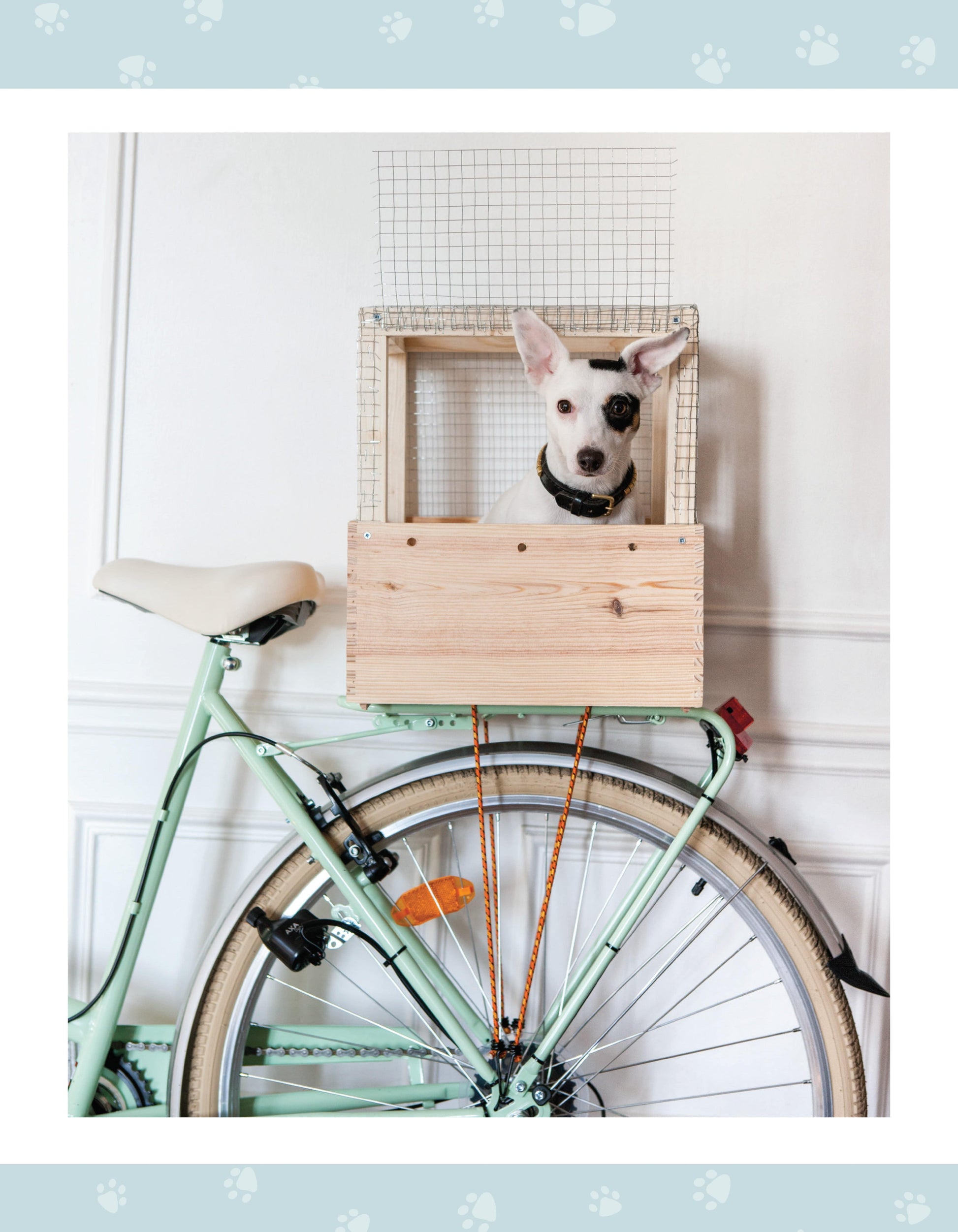 DIY Projects for Cats and Dogs - Fox Chapel Publishing Co.