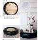 DIY Projects for Cats and Dogs