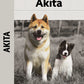 Akita (Comprehensive Owner's Guide)