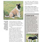 Akita (Comprehensive Owner's Guide)