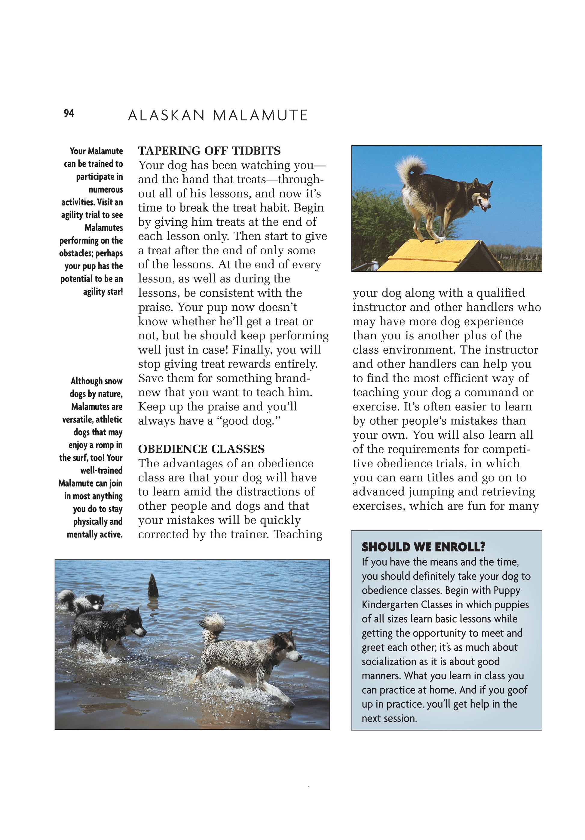 Alaskan Malamute (Comprehensive Owner's Guide) - Fox Chapel Publishing Co.