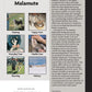 Alaskan Malamute (Comprehensive Owner's Guide)