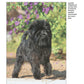 Affenpinscher (Comprehensive Owner's Guide)