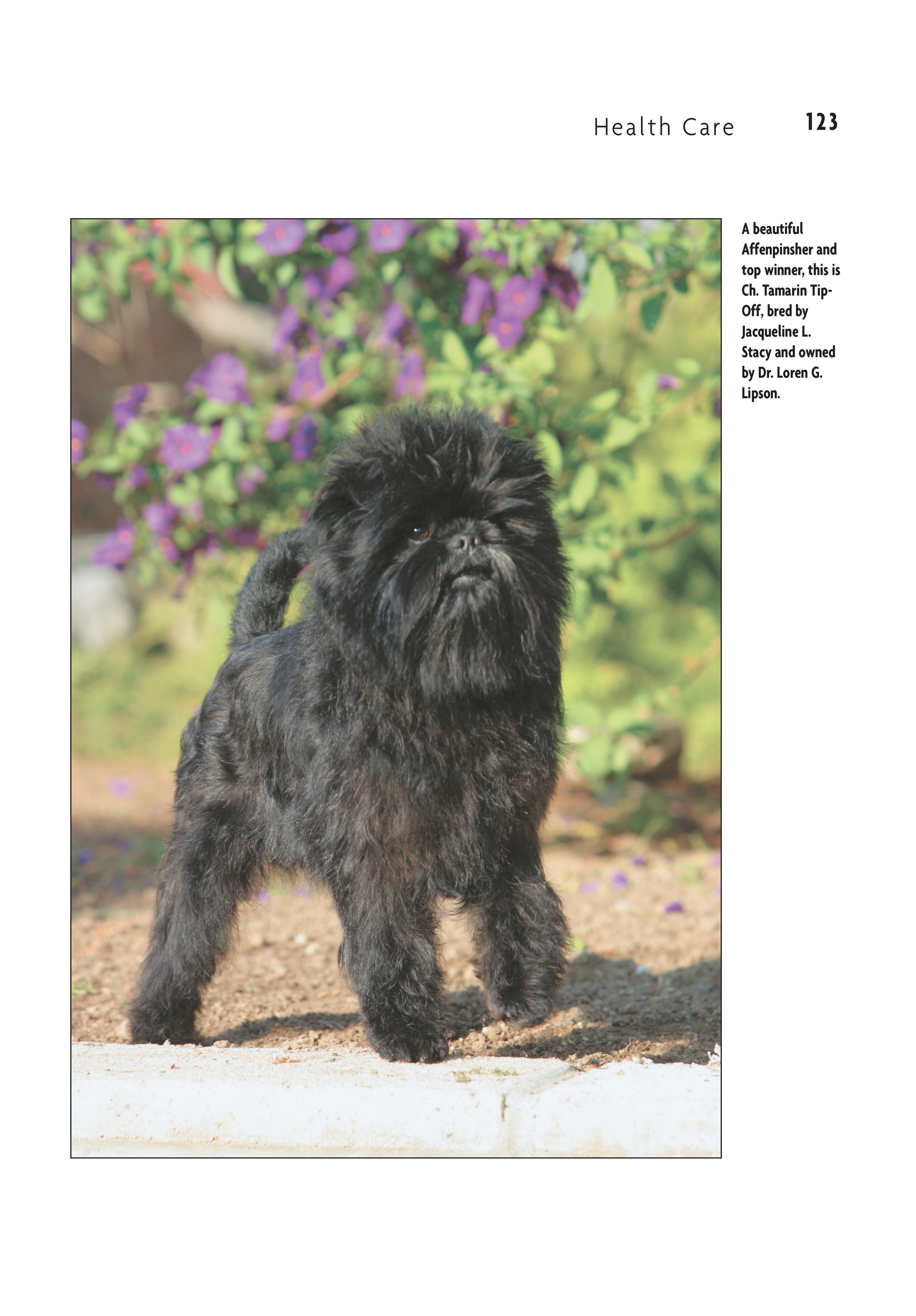 Affenpinscher (Comprehensive Owner's Guide) - Fox Chapel Publishing Co.