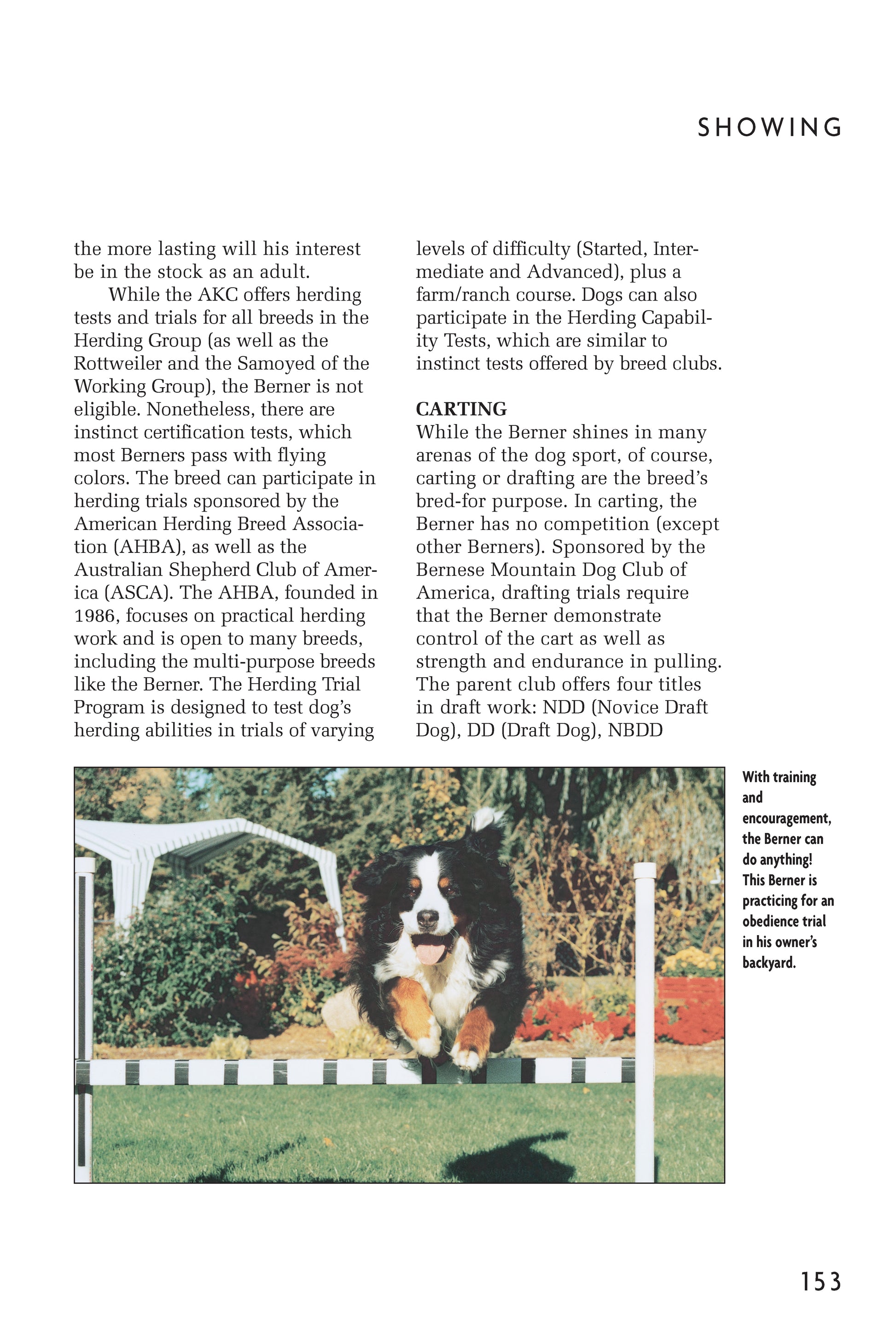 Bernese Mountain Dog (Comprehensive Owner's Guide) - Fox Chapel Publishing Co.