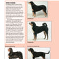 Bernese Mountain Dog (Comprehensive Owner's Guide)