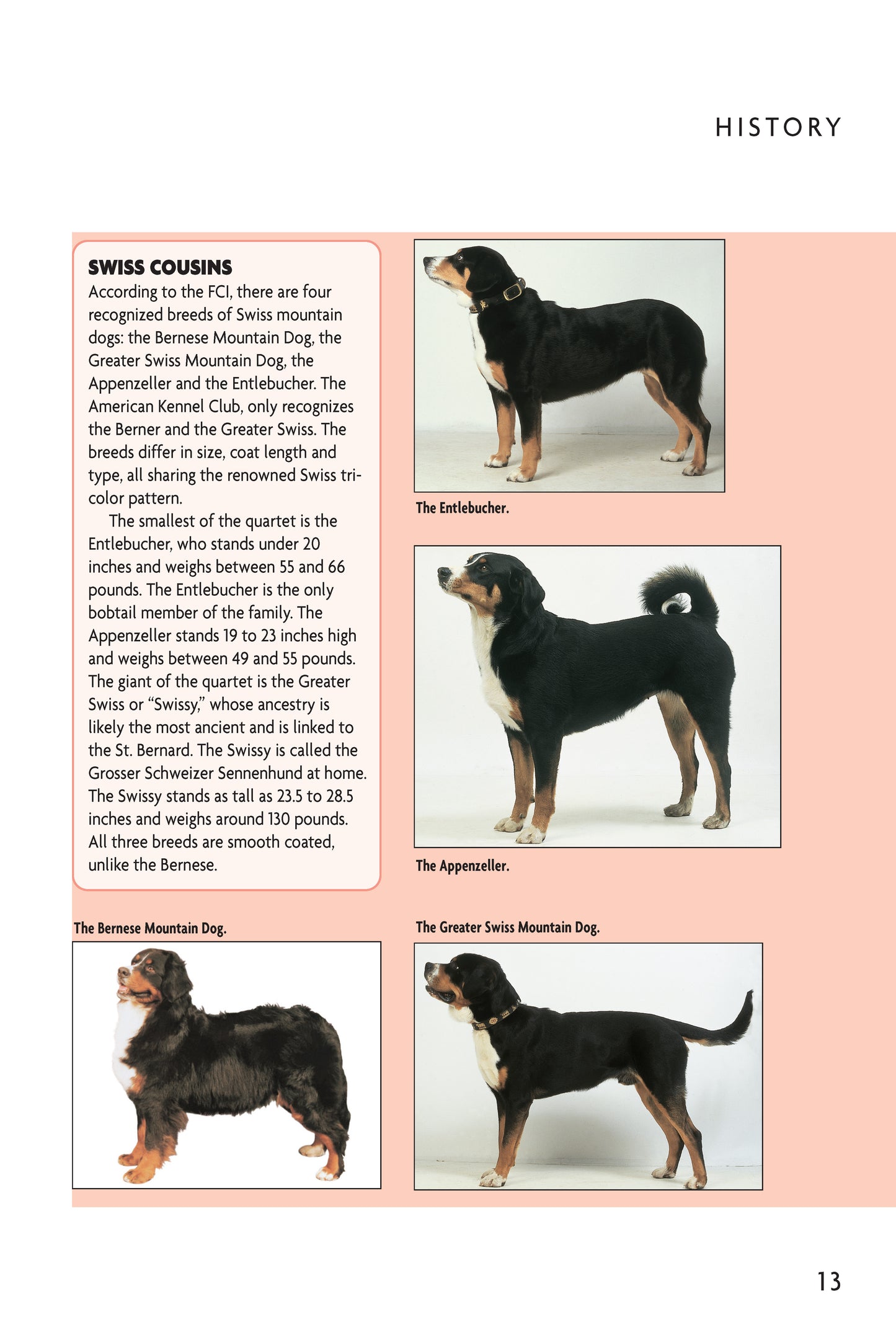 Bernese Mountain Dog (Comprehensive Owner's Guide)