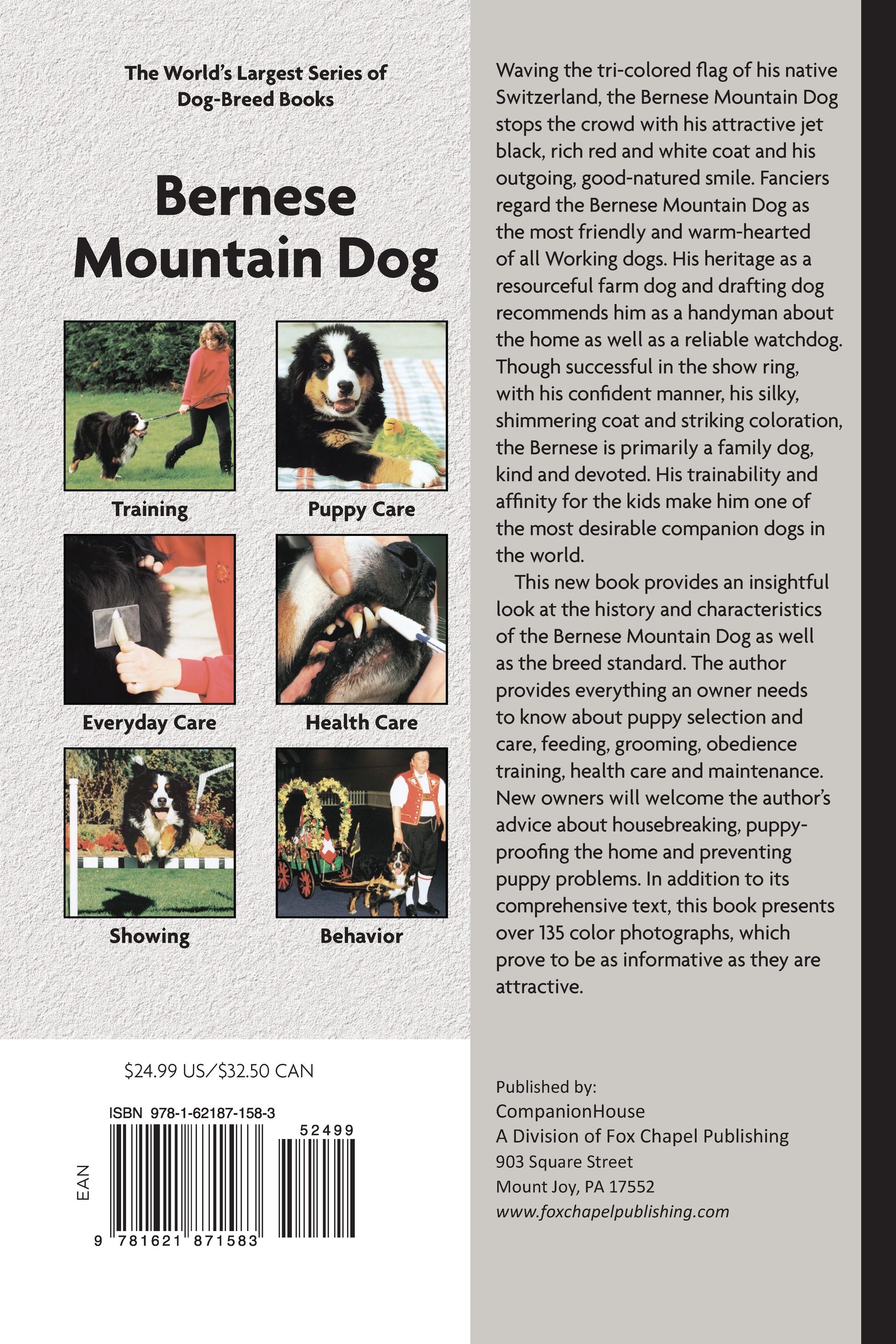 Bernese Mountain Dog (Comprehensive Owner's Guide) - Fox Chapel Publishing Co.