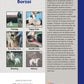 Borzoi (Comprehensive Owner's Guide)