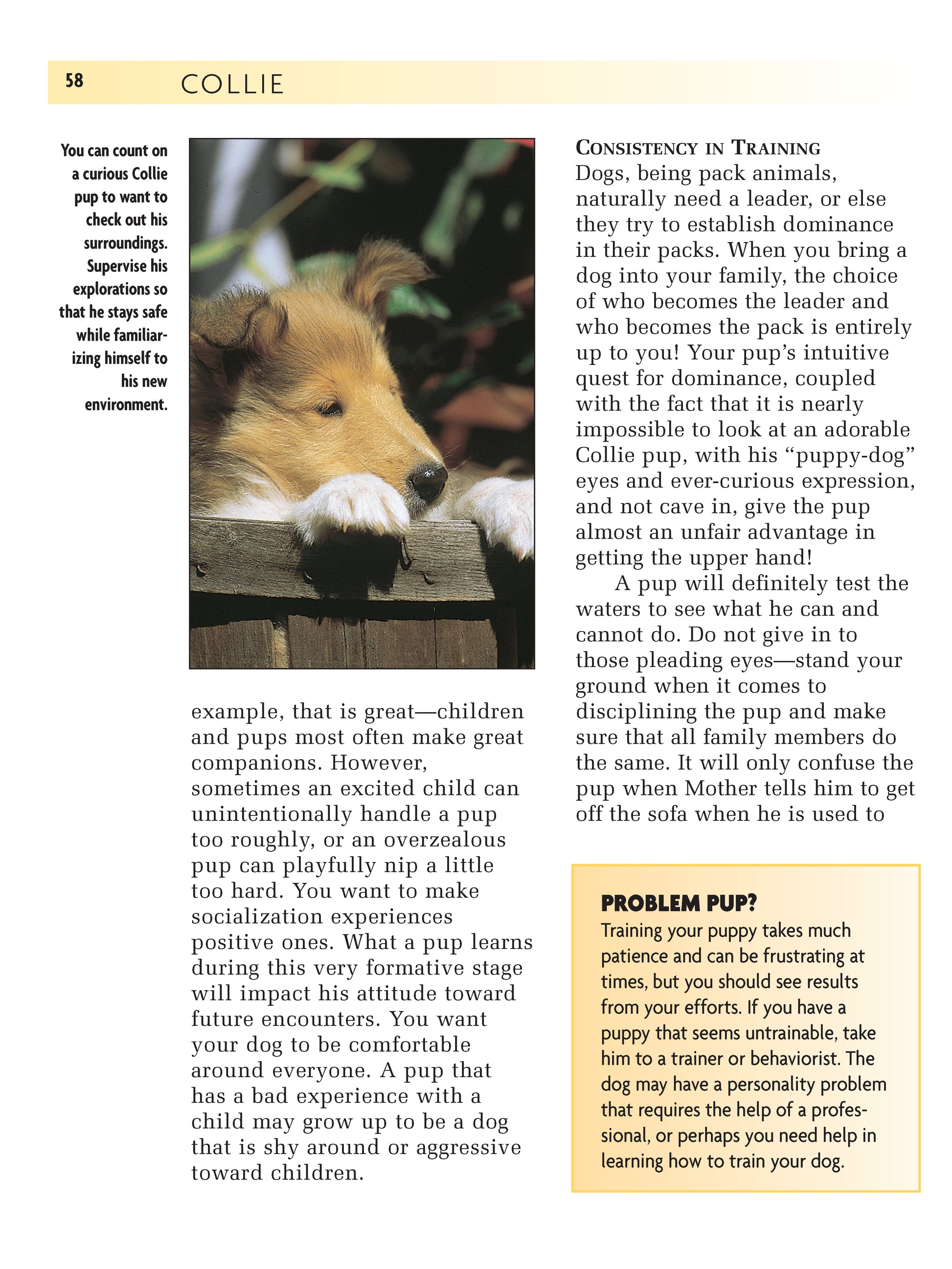 Collie (Comprehensive Owner's Guide) - Fox Chapel Publishing Co.