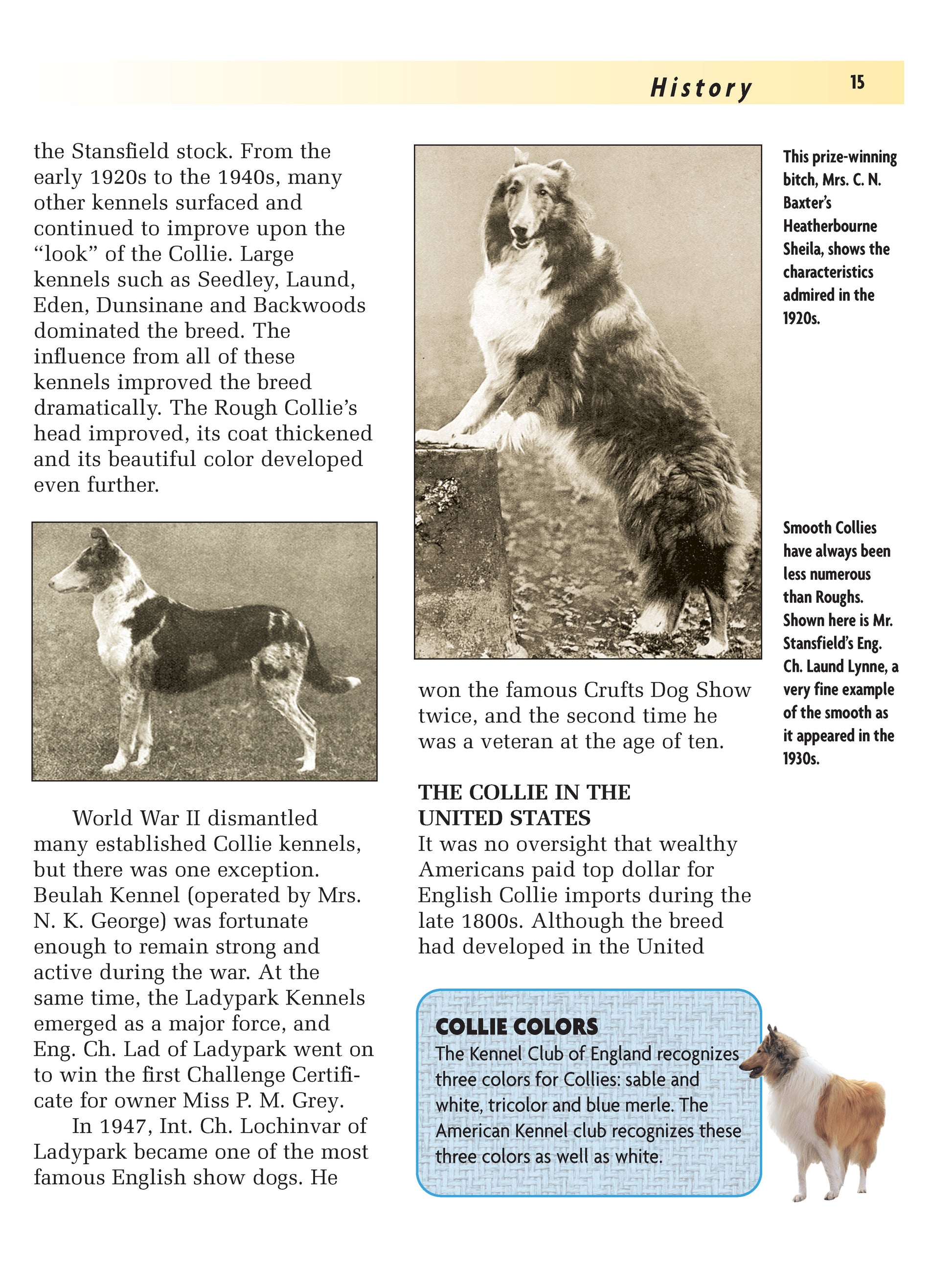 Collie (Comprehensive Owner's Guide) - Fox Chapel Publishing Co.