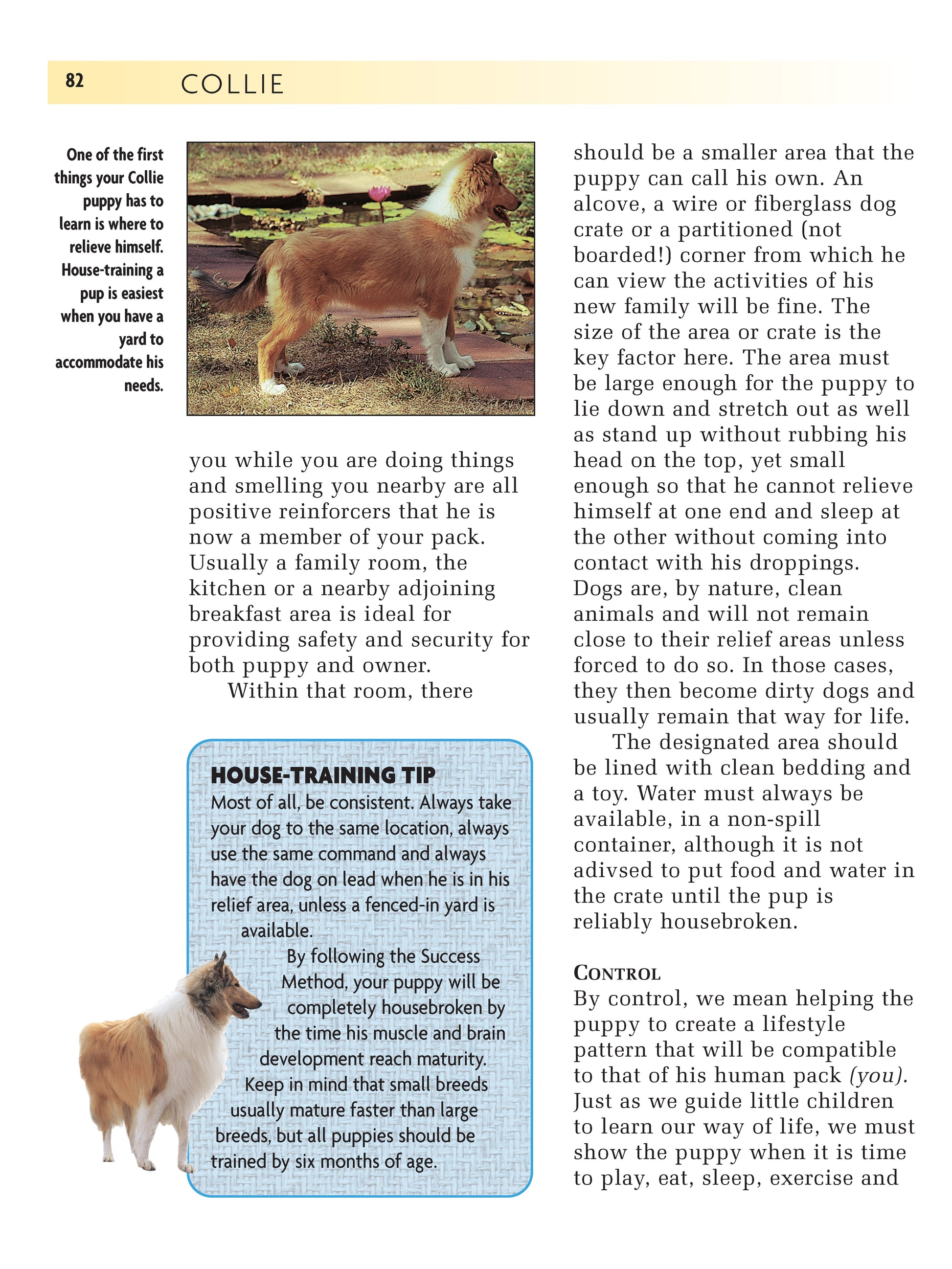 Collie (Comprehensive Owner's Guide) - Fox Chapel Publishing Co.