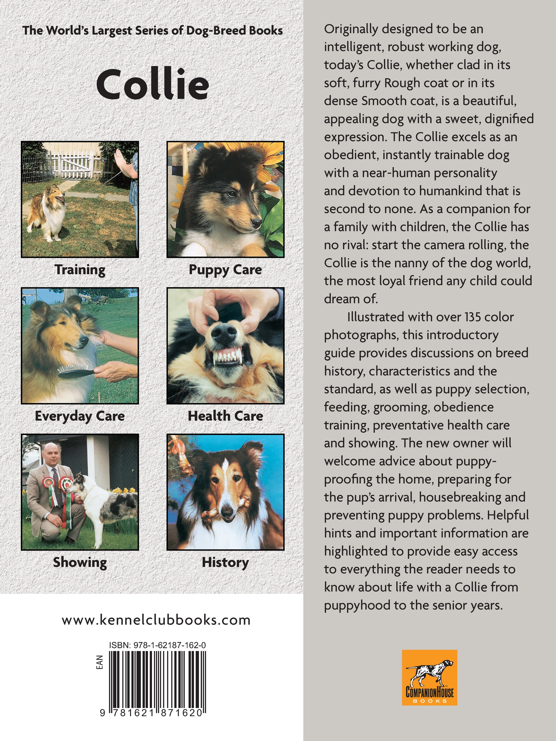 Collie (Comprehensive Owner's Guide) - Fox Chapel Publishing Co.