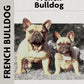 French Bulldog (Comprehensive Owner's Guide)