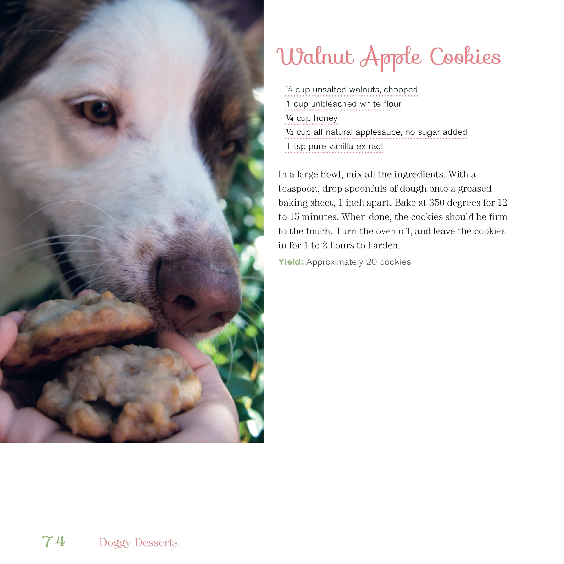Doggy Desserts - Fox Chapel Publishing Co.