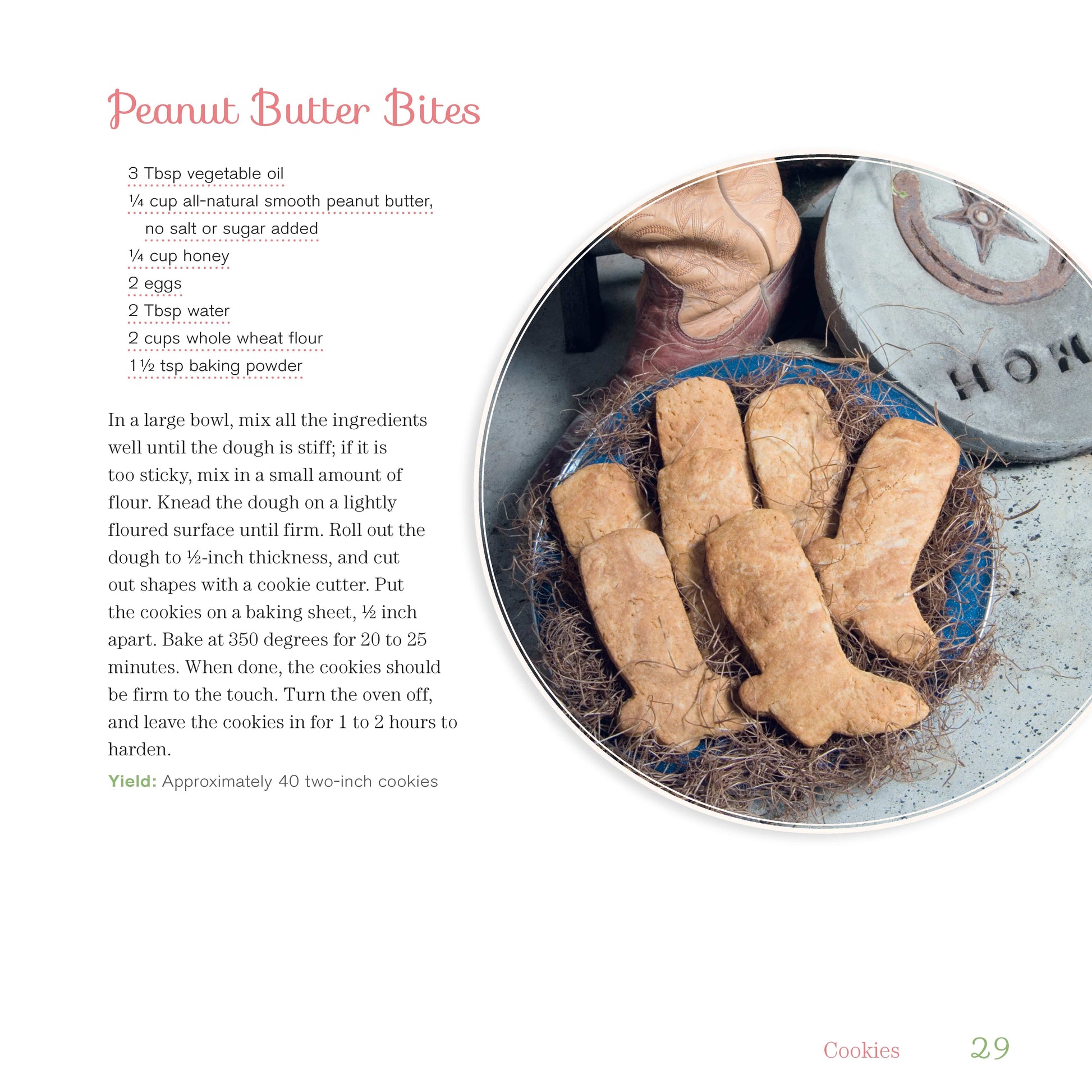 Doggy Desserts - Fox Chapel Publishing Co.