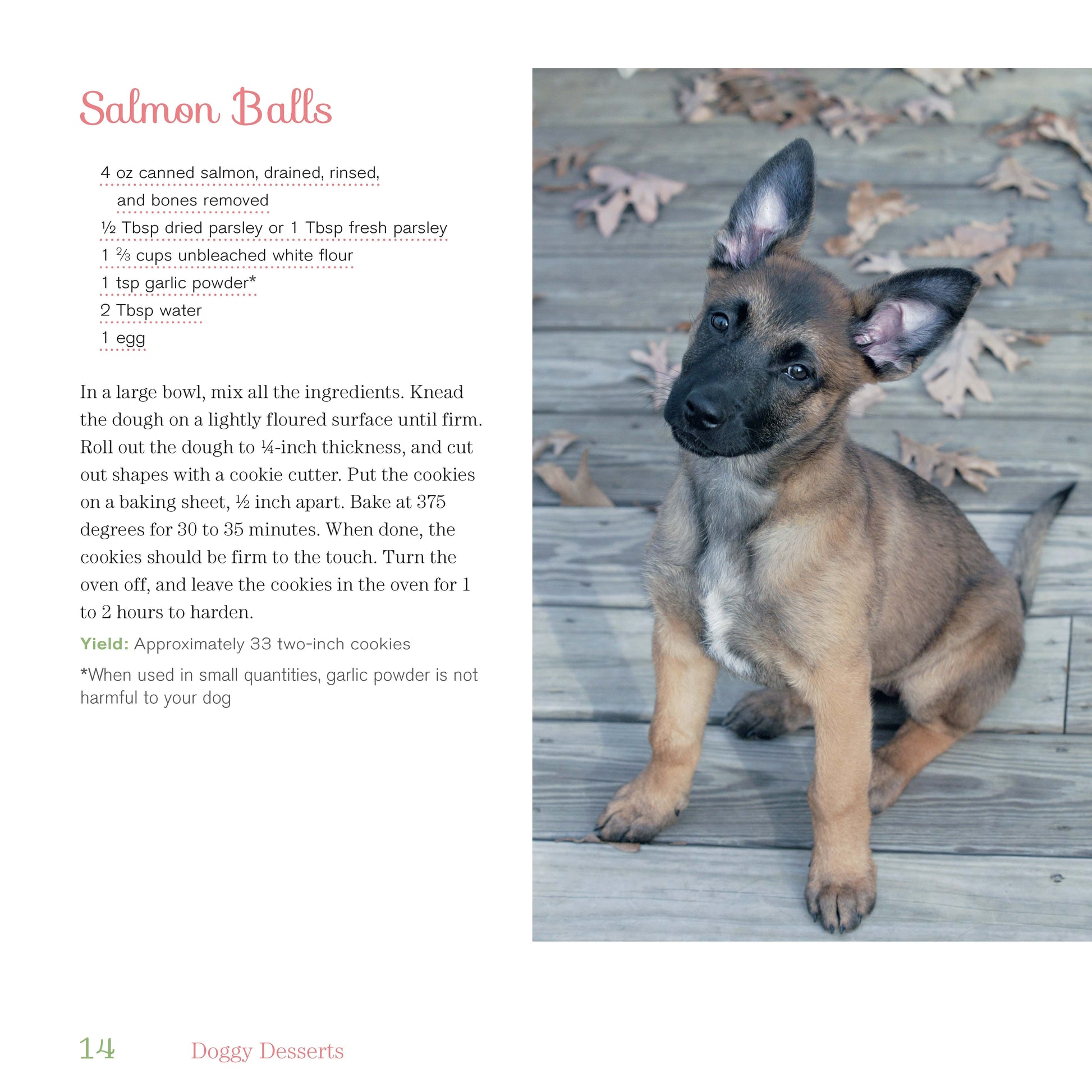 Doggy Desserts - Fox Chapel Publishing Co.