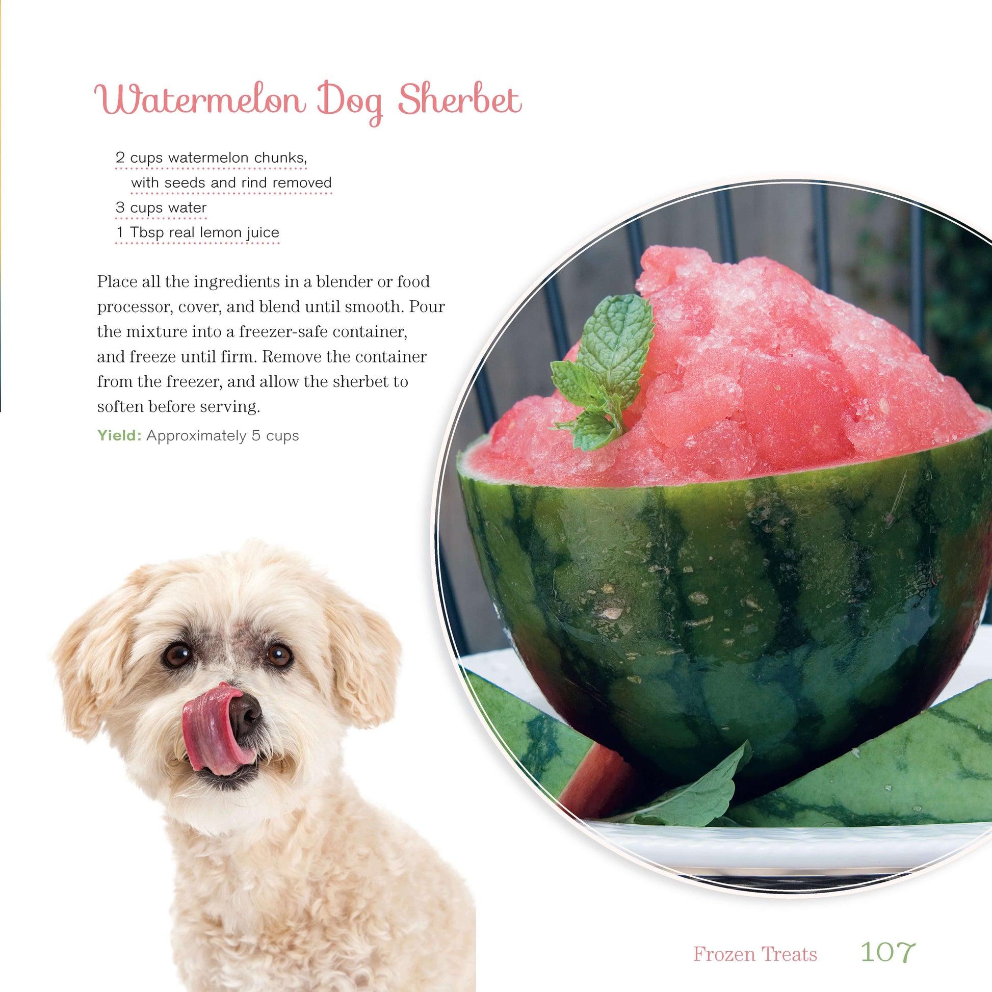 Doggy Desserts - Fox Chapel Publishing Co.