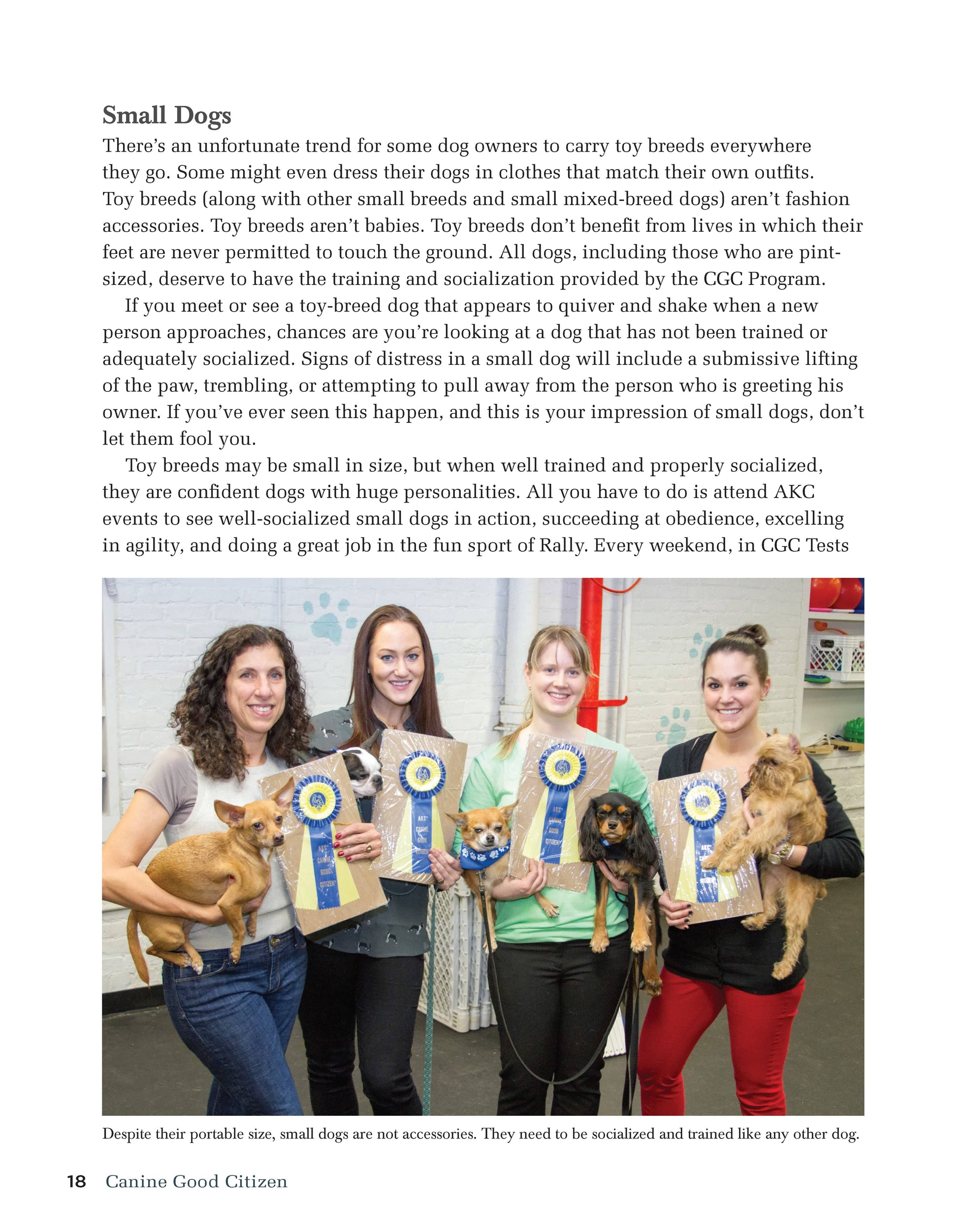 Canine Good Citizen - The Official AKC Guide - Fox Chapel Publishing Co.