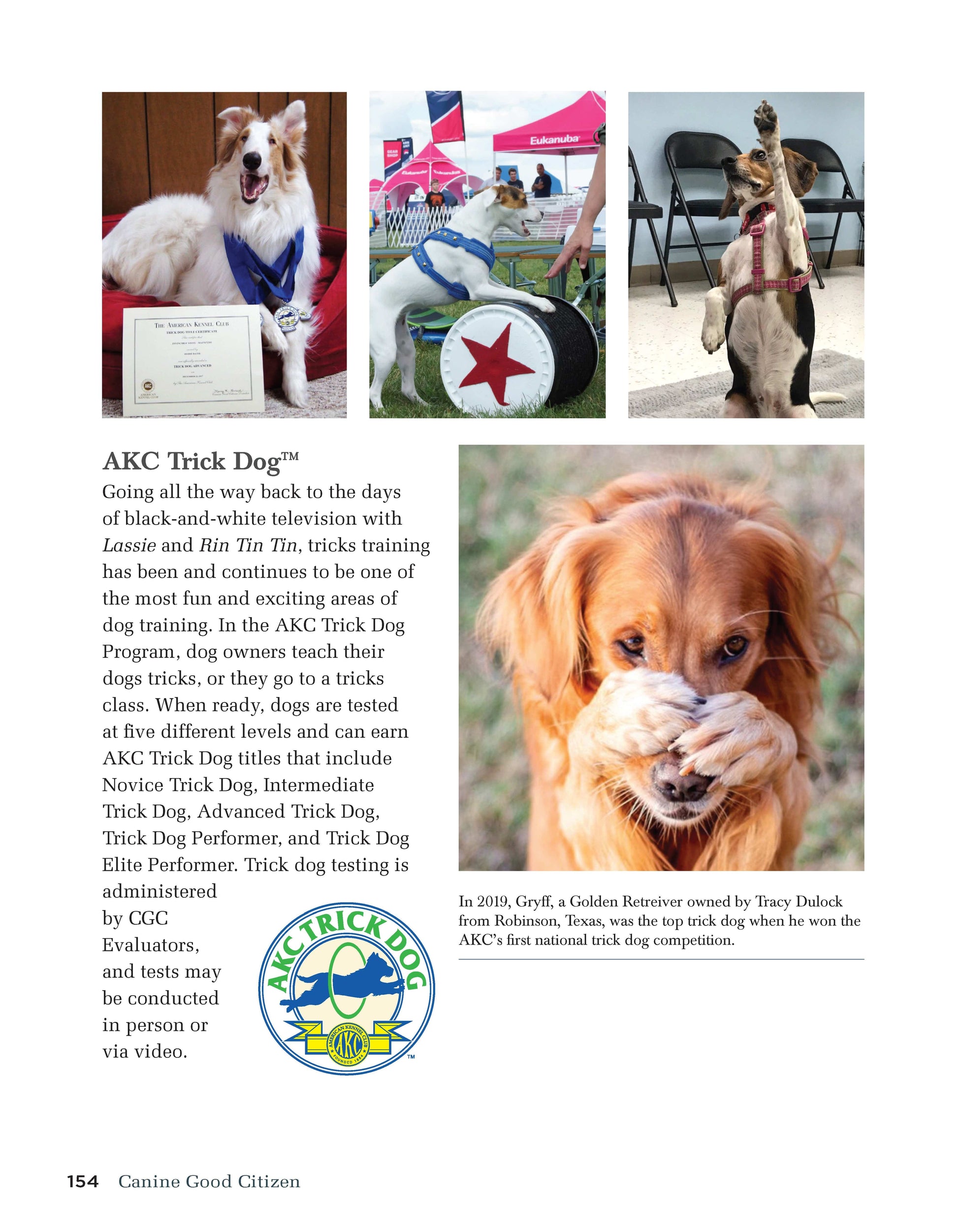 Canine Good Citizen - The Official AKC Guide - Fox Chapel Publishing Co.