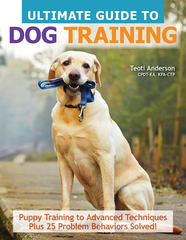 Your Step-By-Step Puppy Training Schedule (By Age)