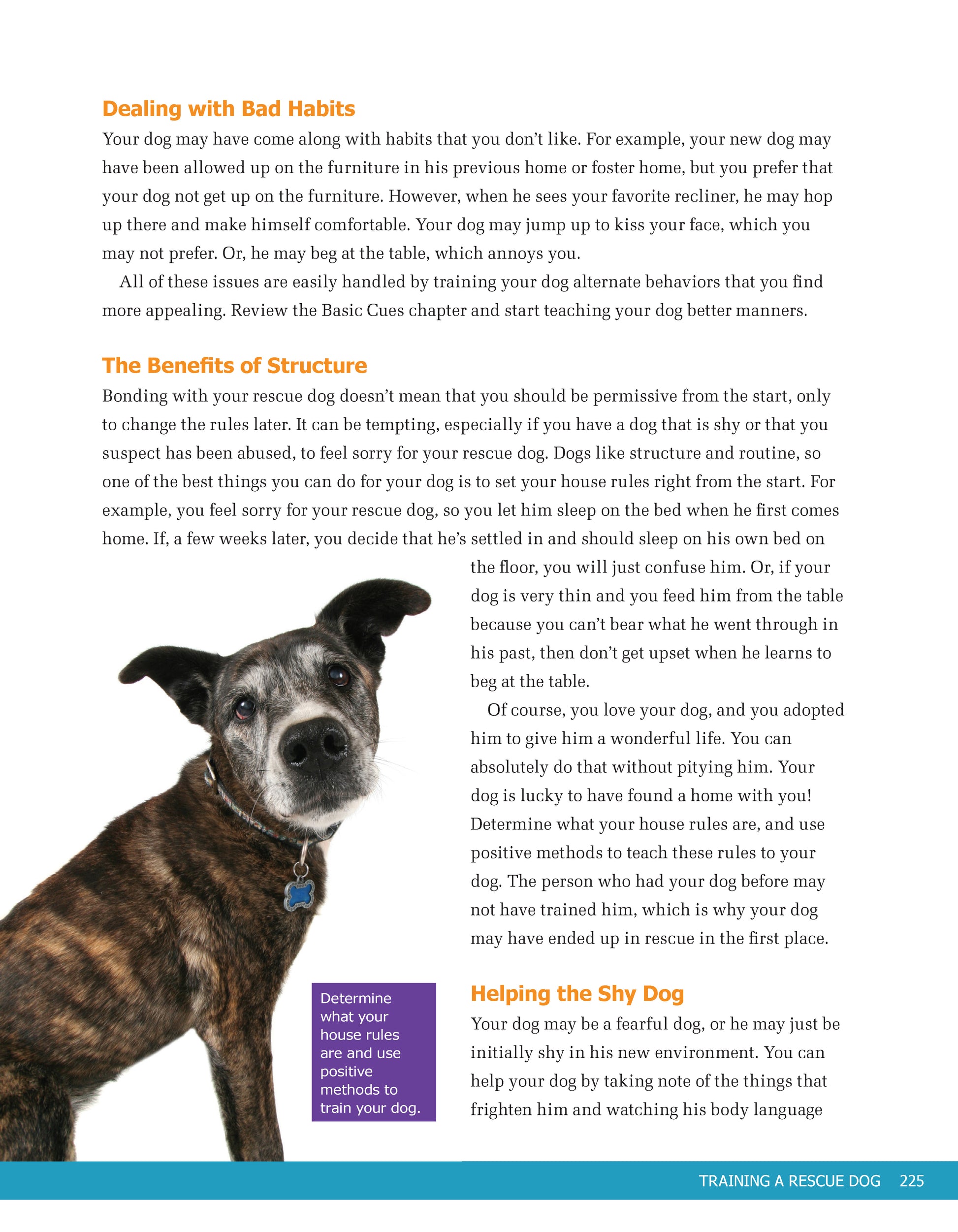 Ultimate Guide to Dog Training - Fox Chapel Publishing Co.