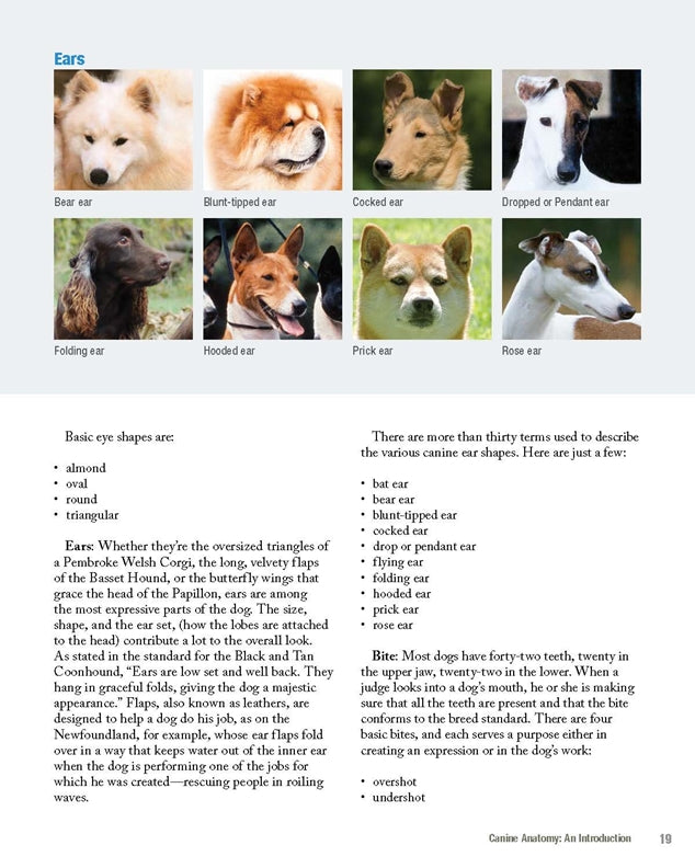 The New Complete Dog Book, 23rd Edition