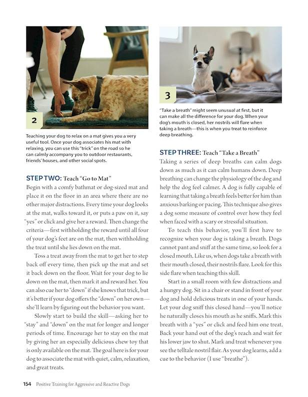 Positive Training for Aggressive and Reactive Dogs - Fox Chapel Publishing Co.
