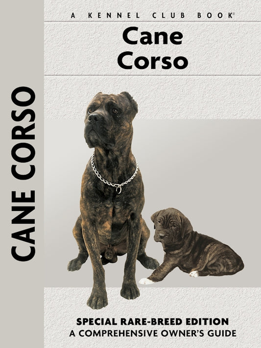 Cane Corso