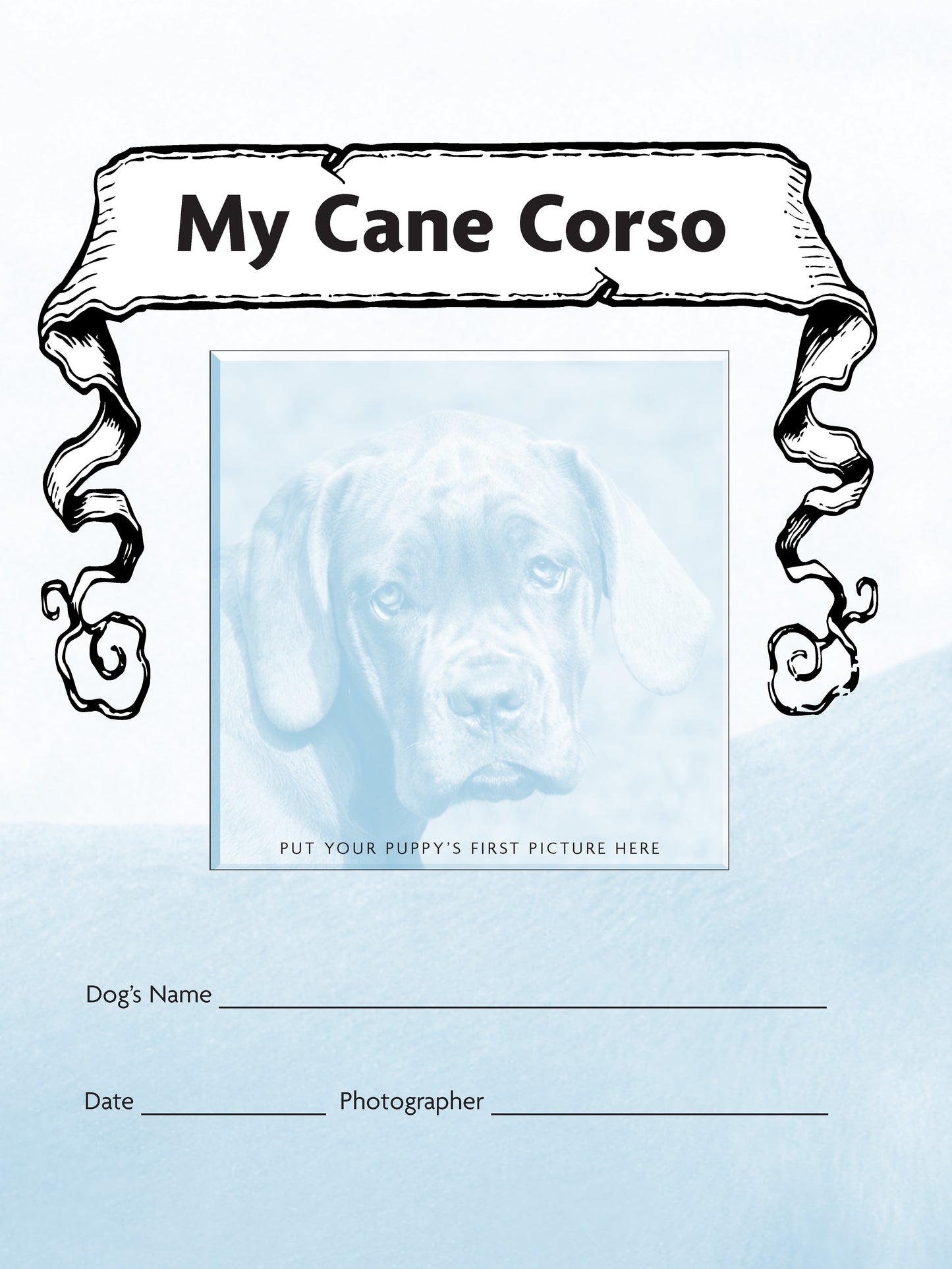 Cane Corso