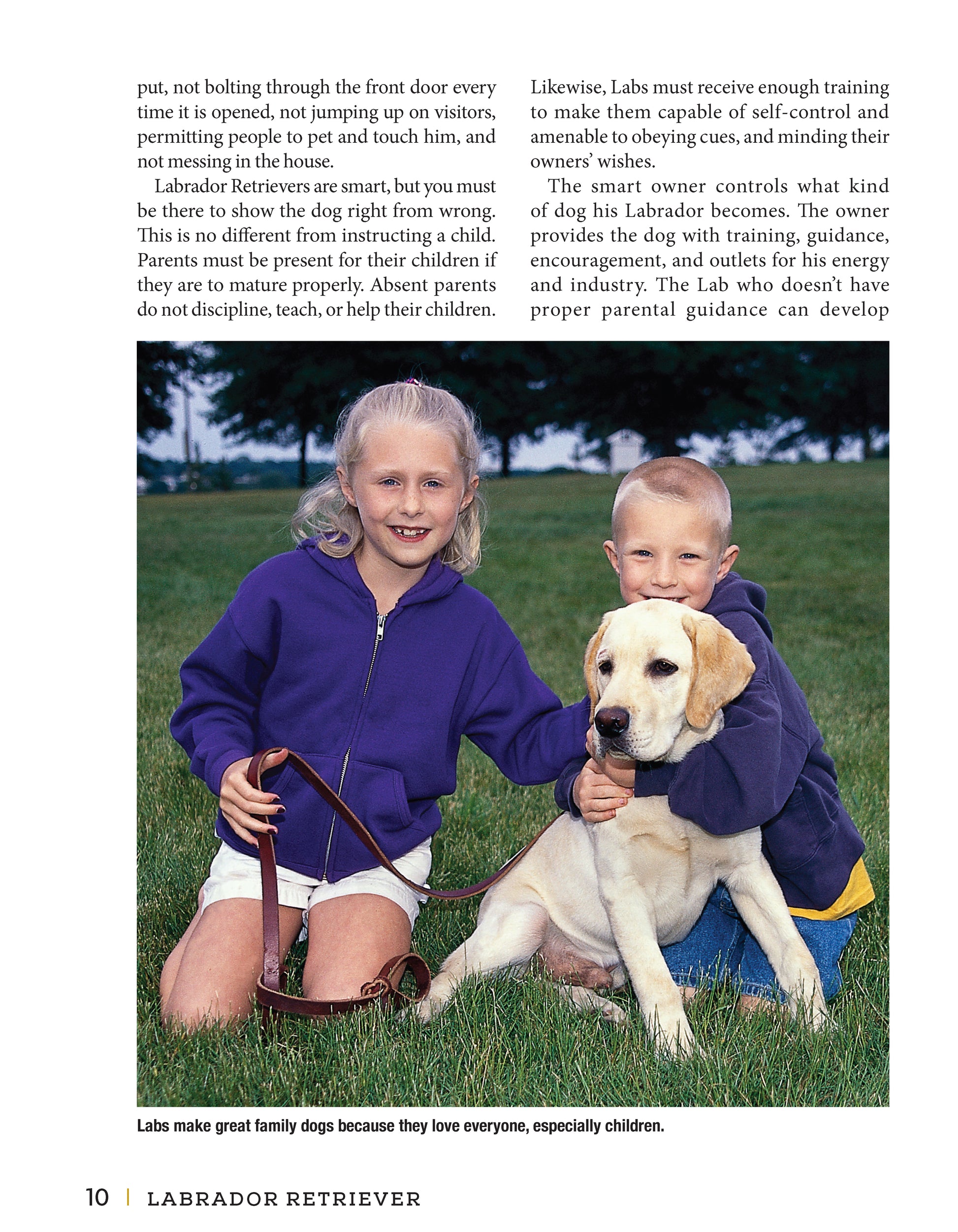 Labrador Retriever - Fox Chapel Publishing Co.