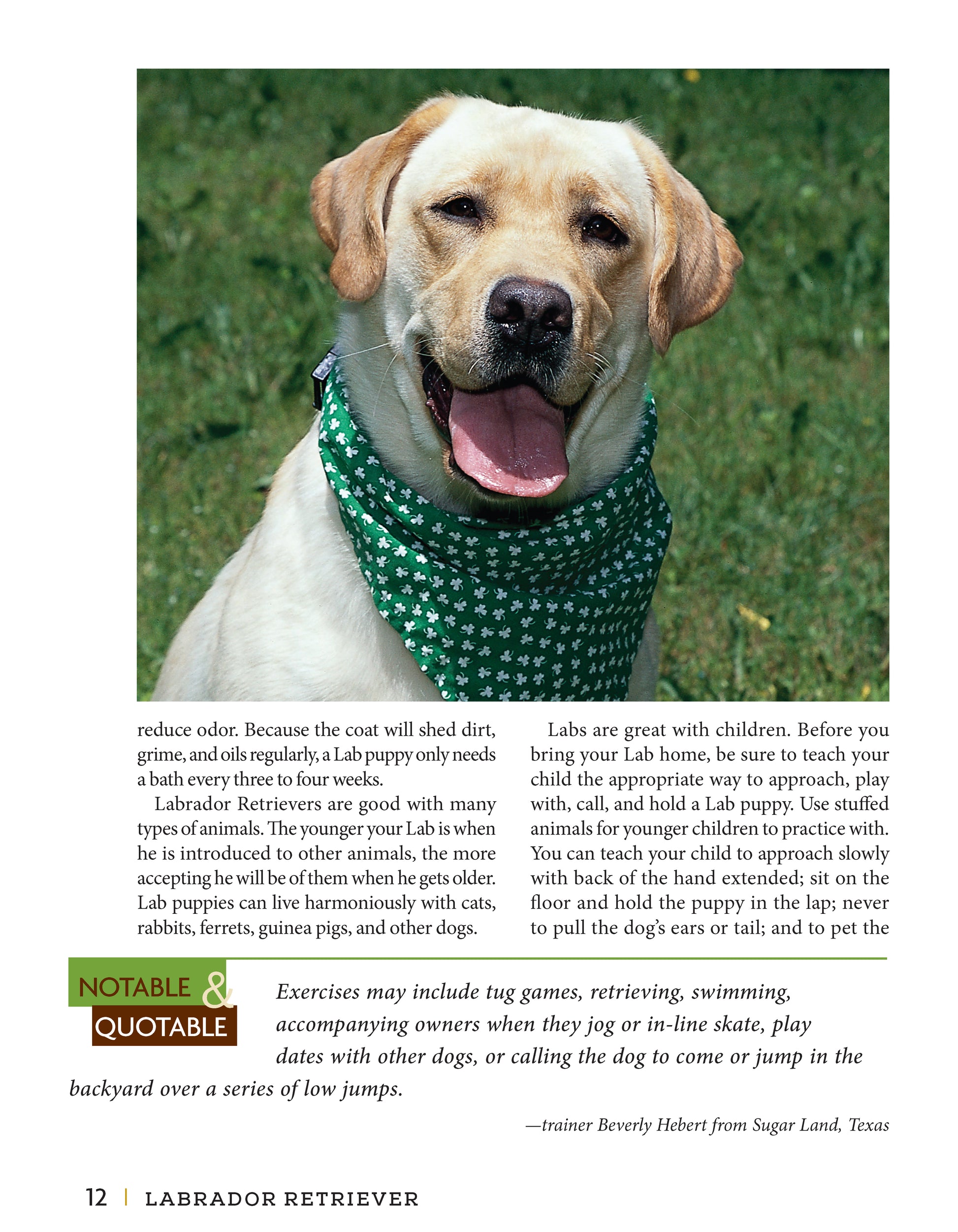 Labrador Retriever - Fox Chapel Publishing Co.