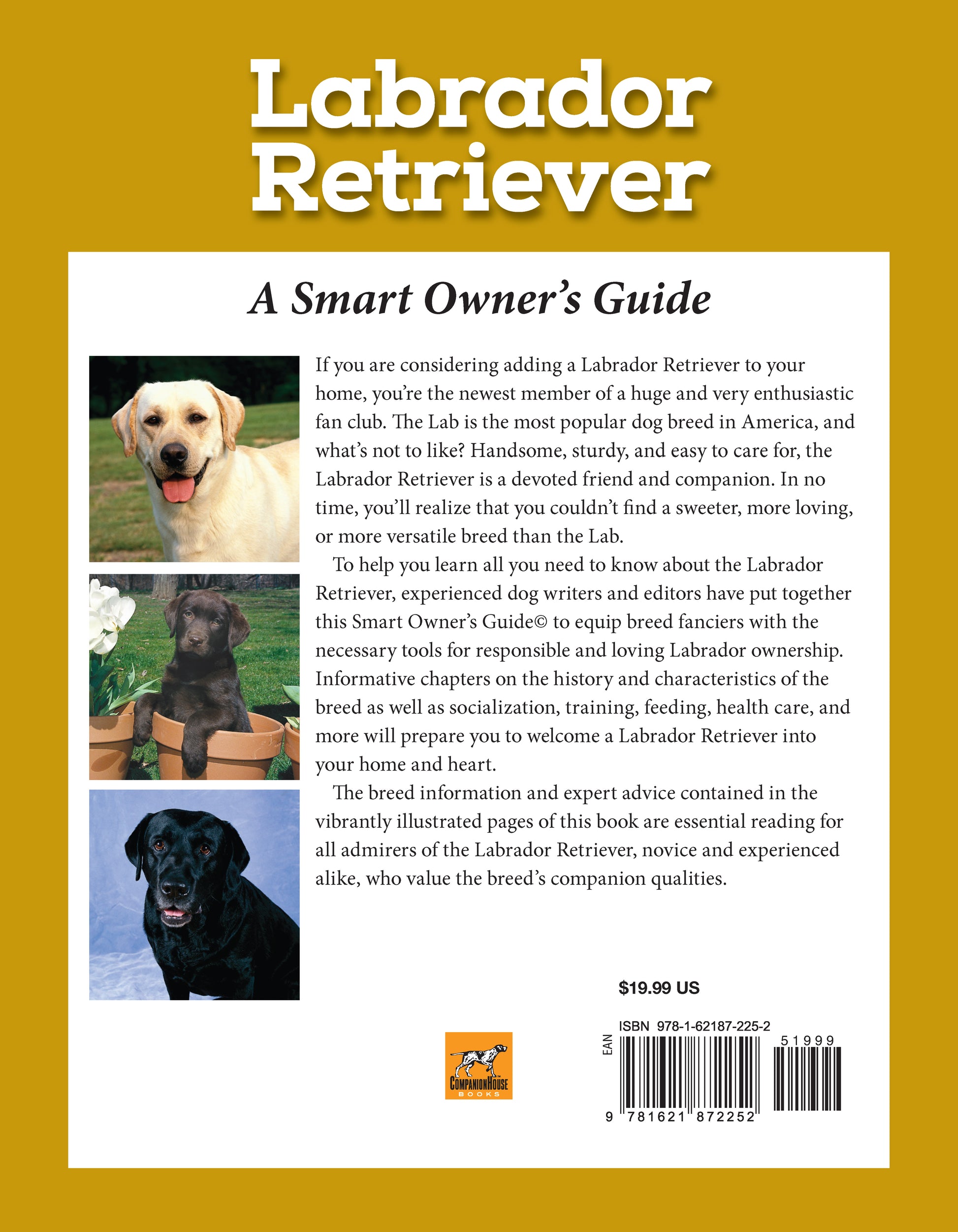 Labrador Retriever - Fox Chapel Publishing Co.