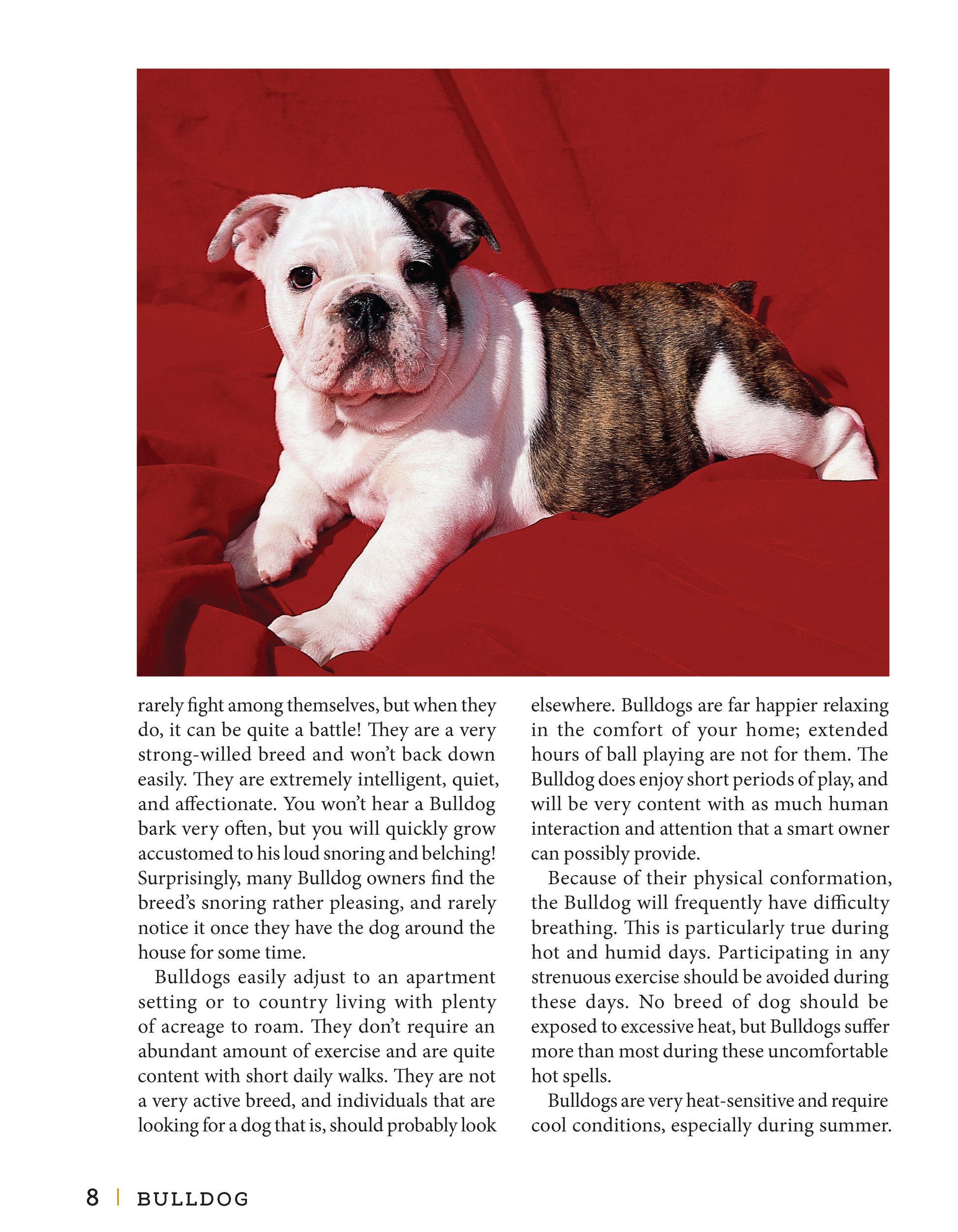 Bulldog - Fox Chapel Publishing Co.