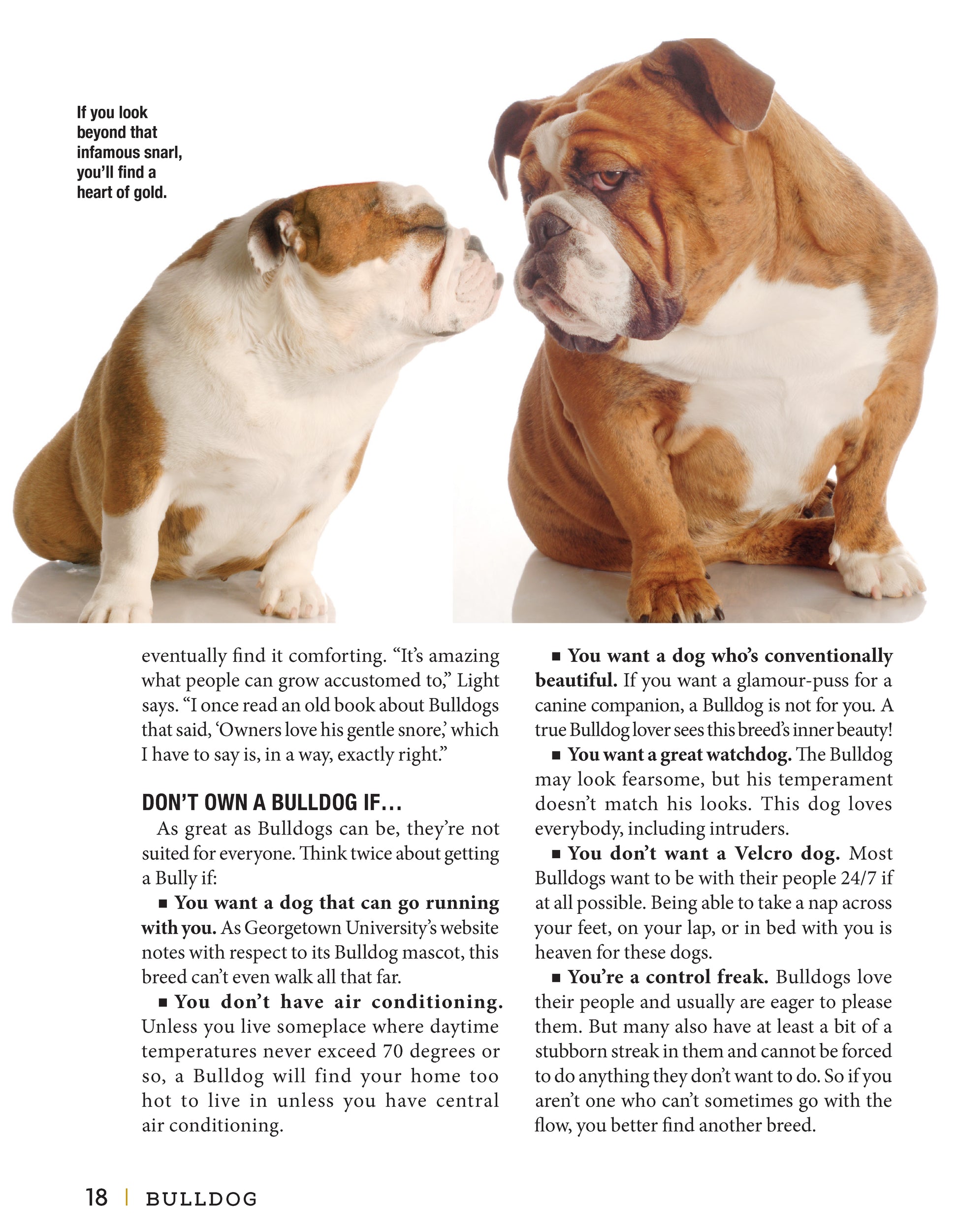 Bulldog - Fox Chapel Publishing Co.