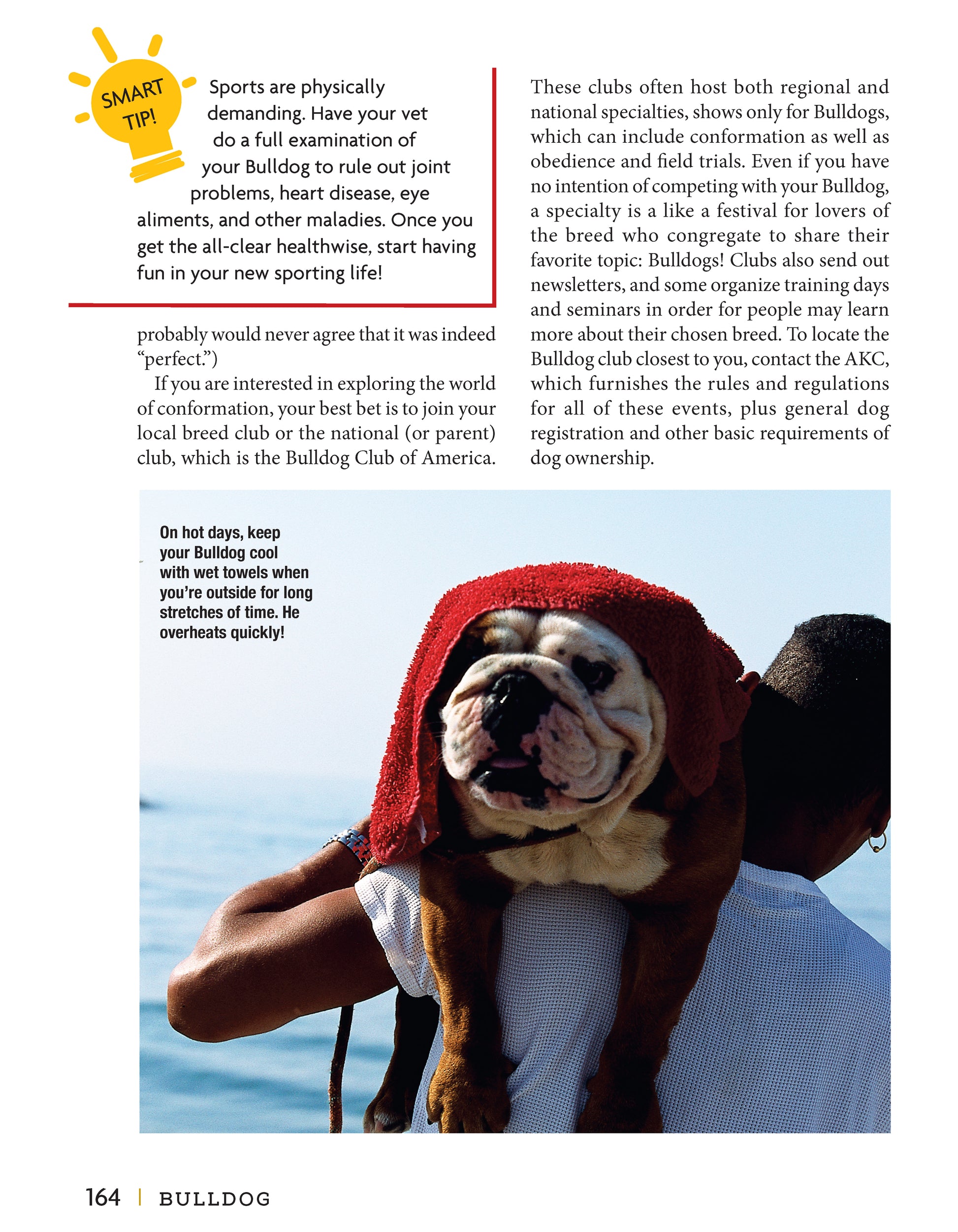 Bulldog - Fox Chapel Publishing Co.
