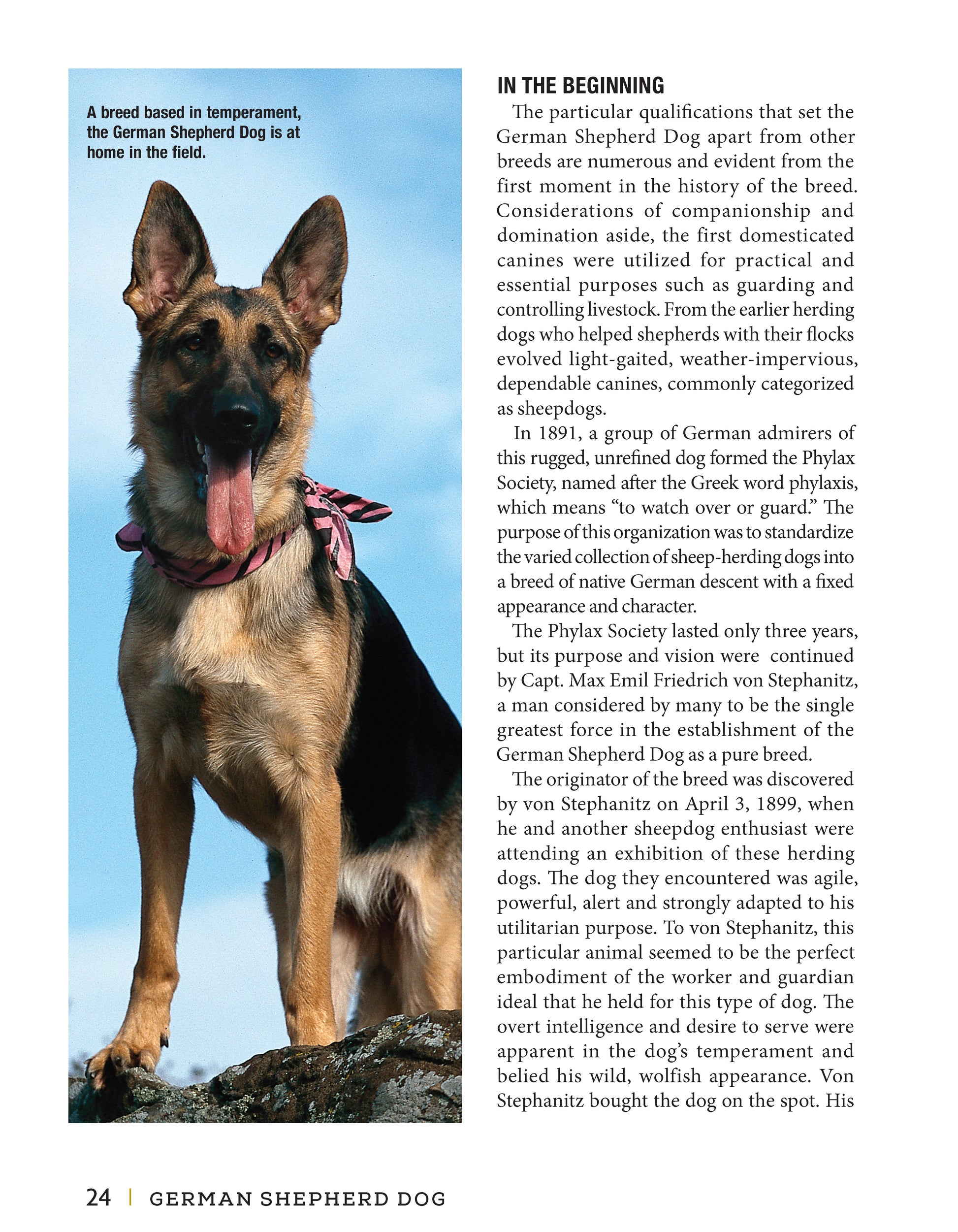 German Shepherd Dog - Fox Chapel Publishing Co.
