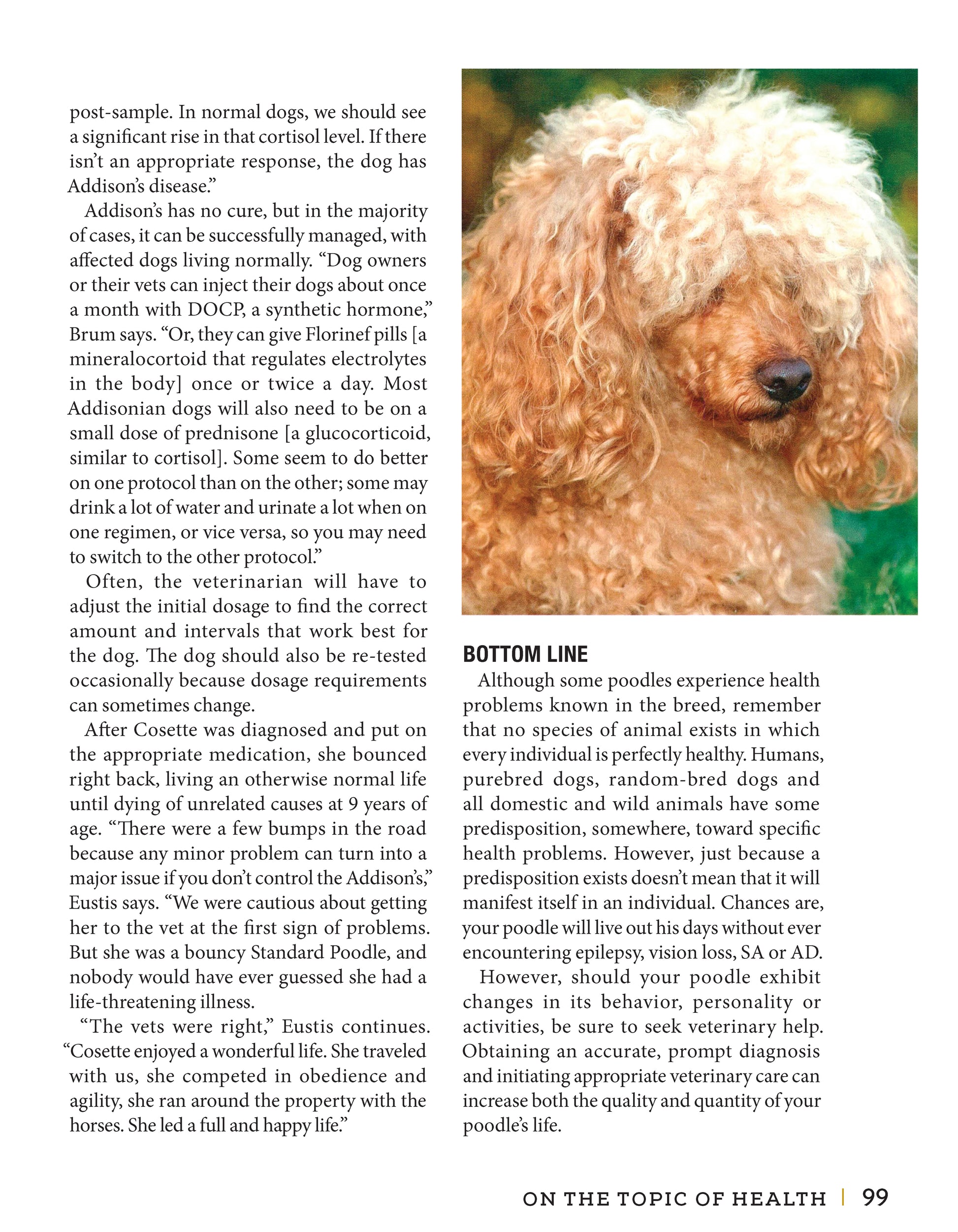 Poodle - Fox Chapel Publishing Co.