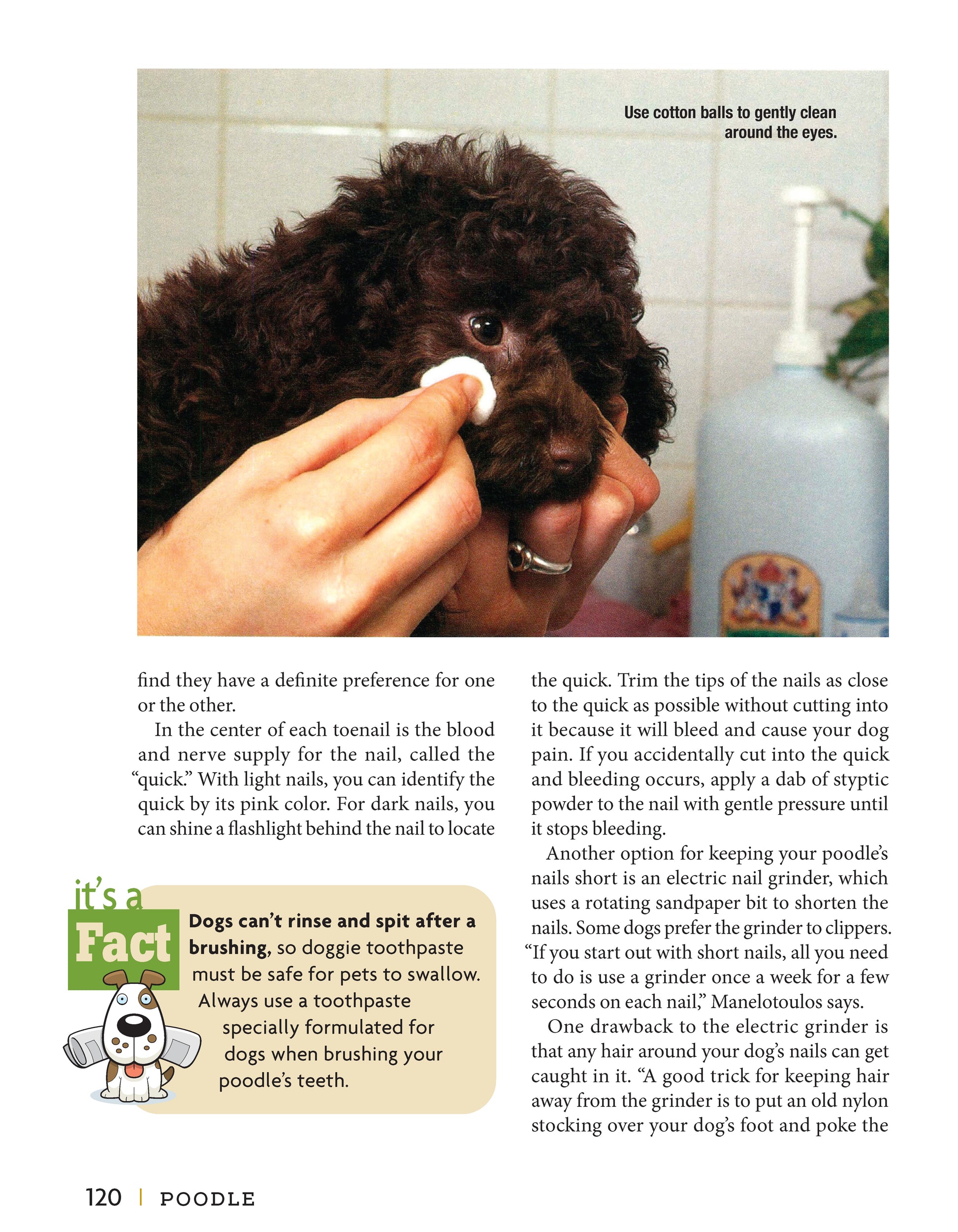 Poodle - Fox Chapel Publishing Co.